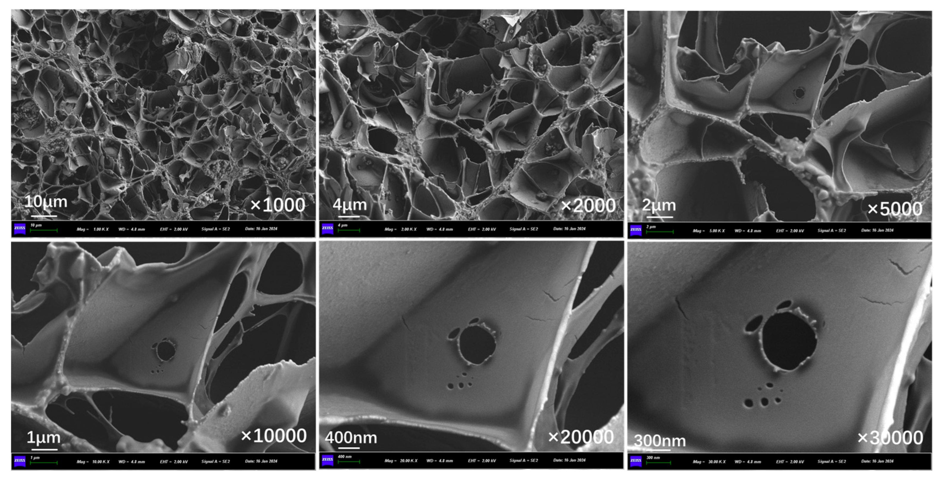 Polymers 17 03187 g023