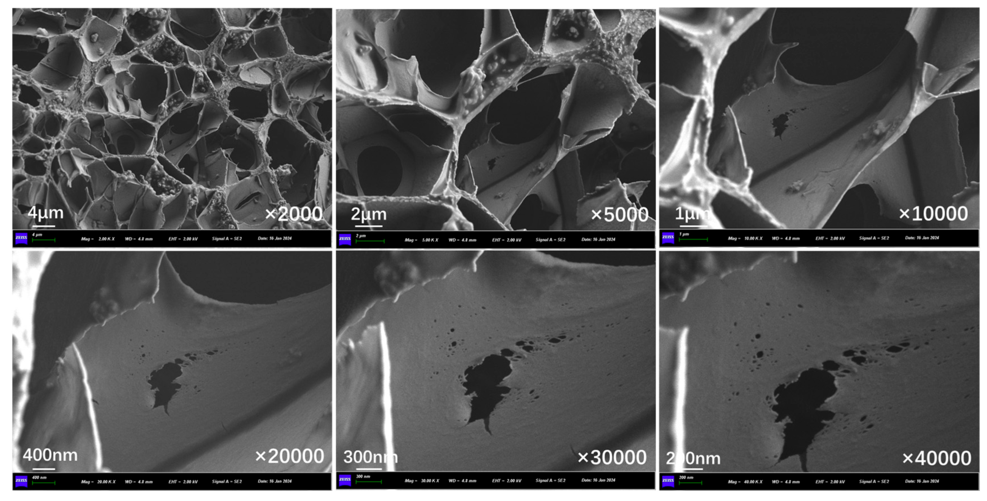 Polymers 17 03187 g024