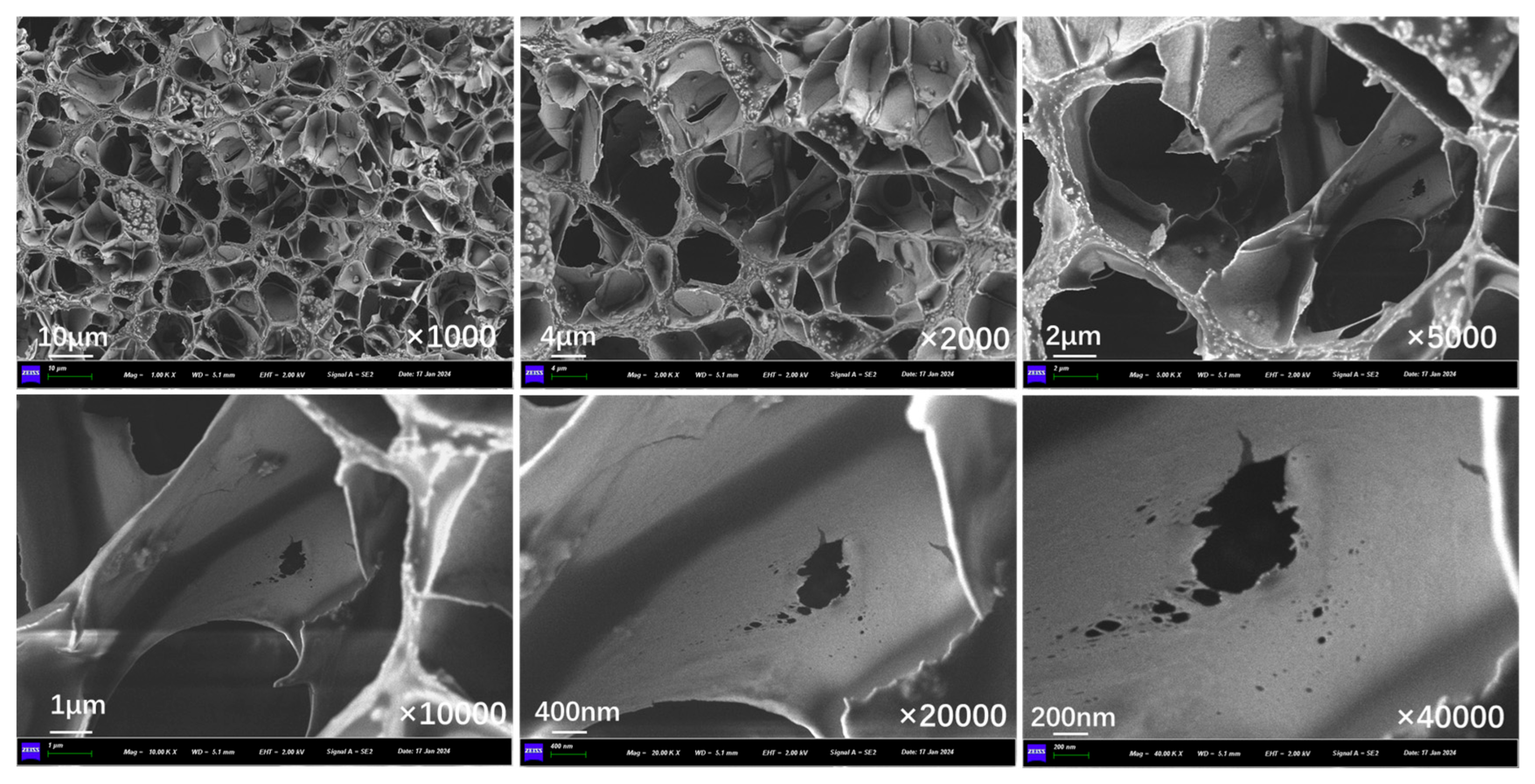 Polymers 17 03187 g025