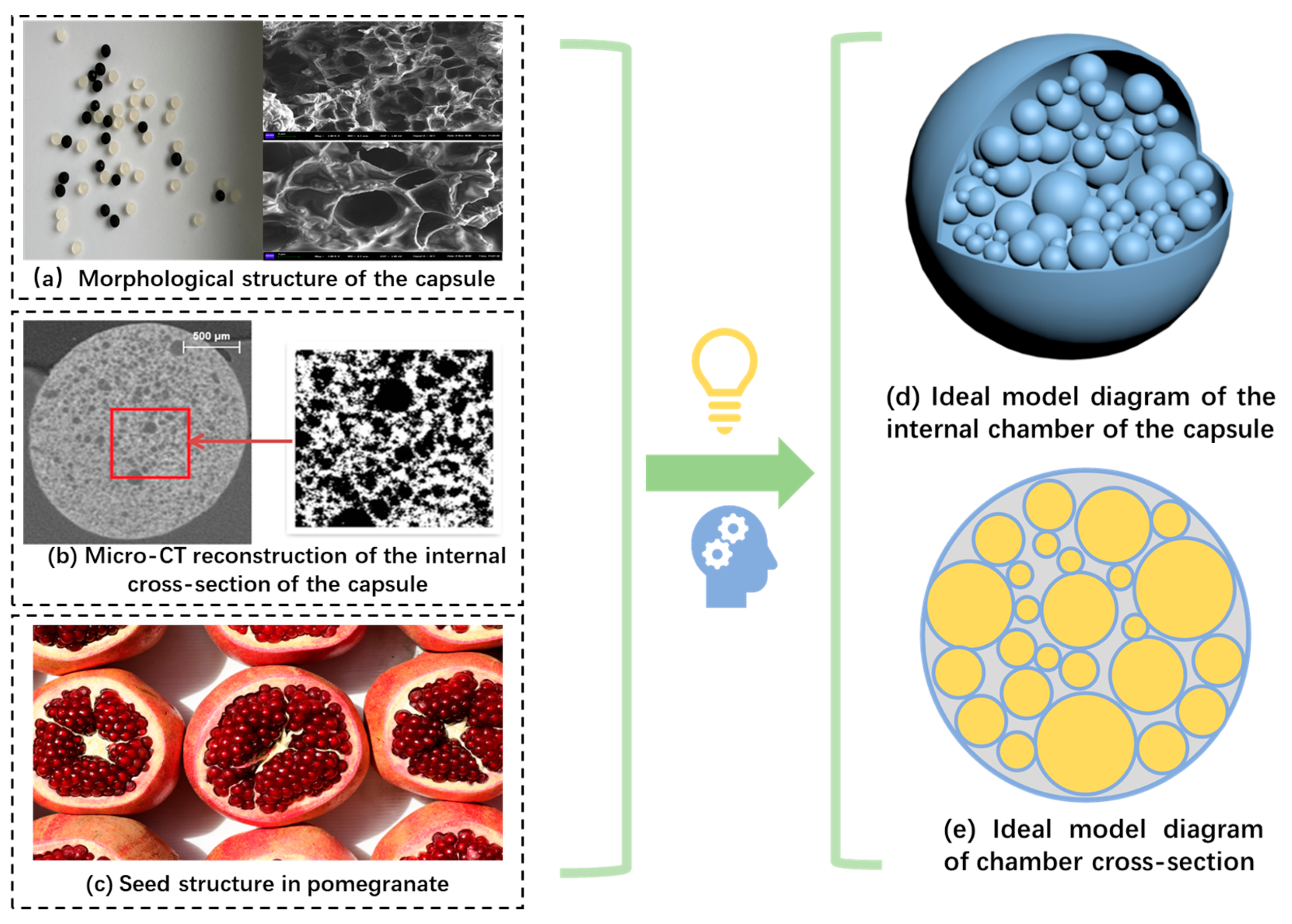 Polymers 17 03187 g026
