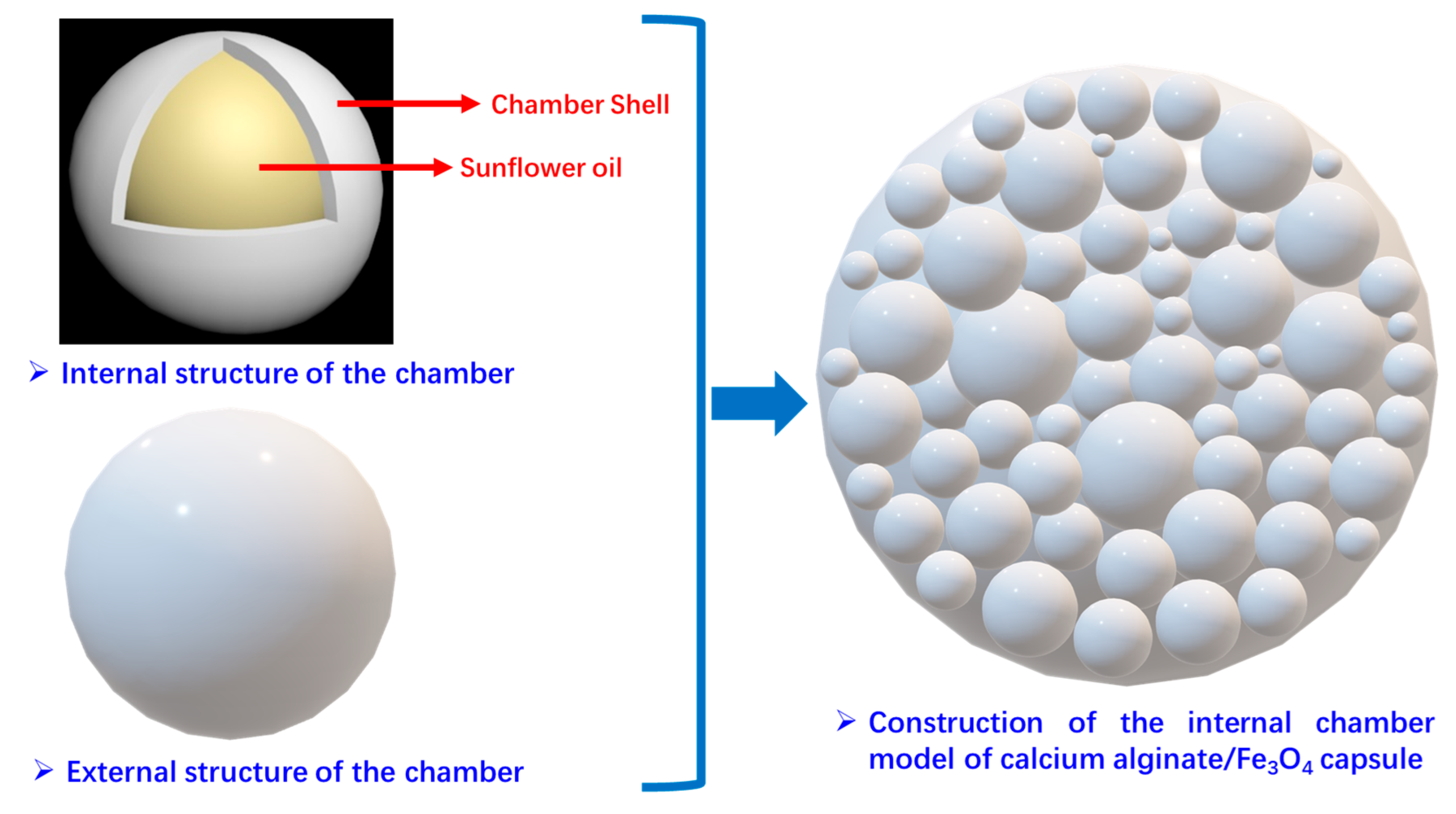 Polymers 17 03187 g027