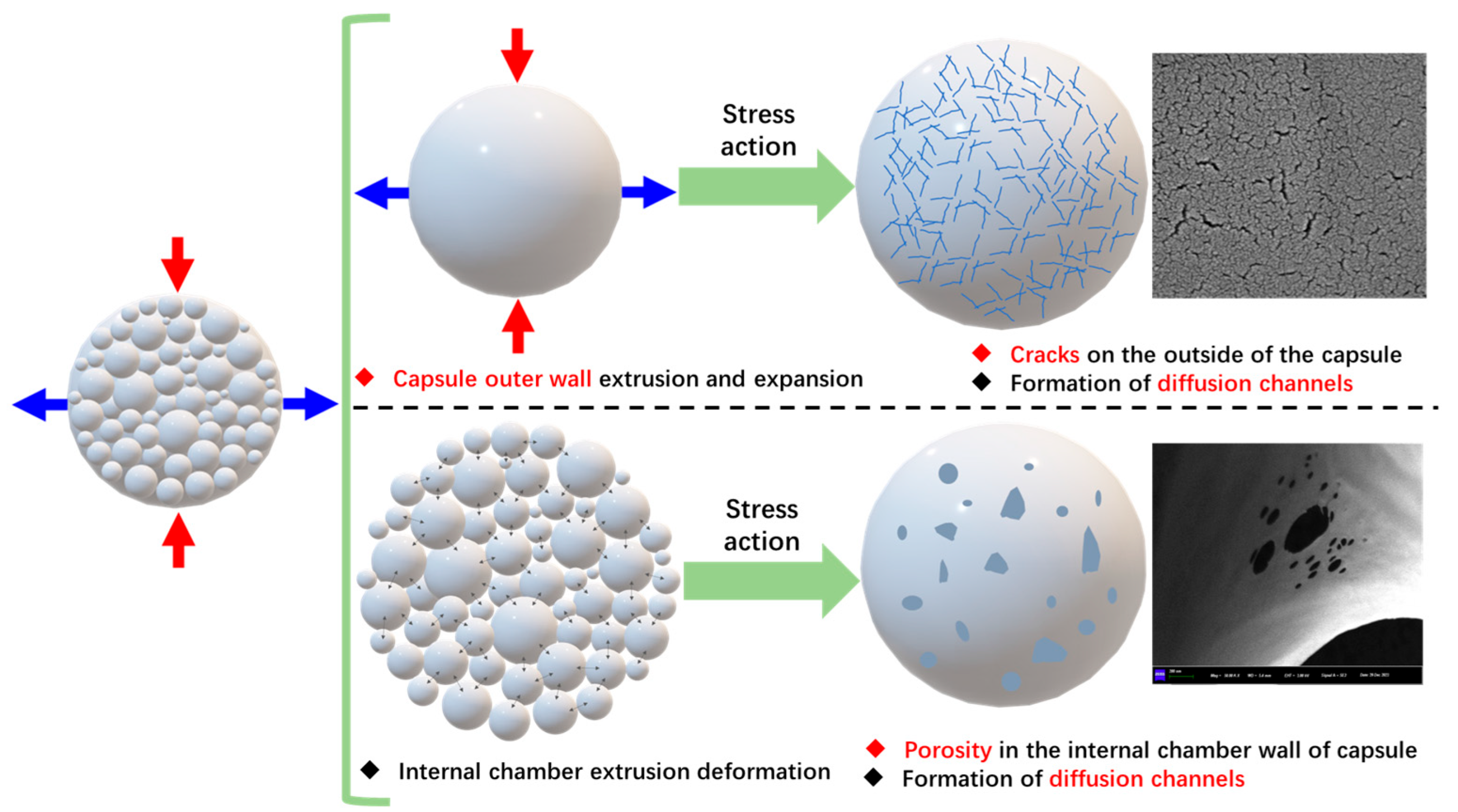 Polymers 17 03187 g029