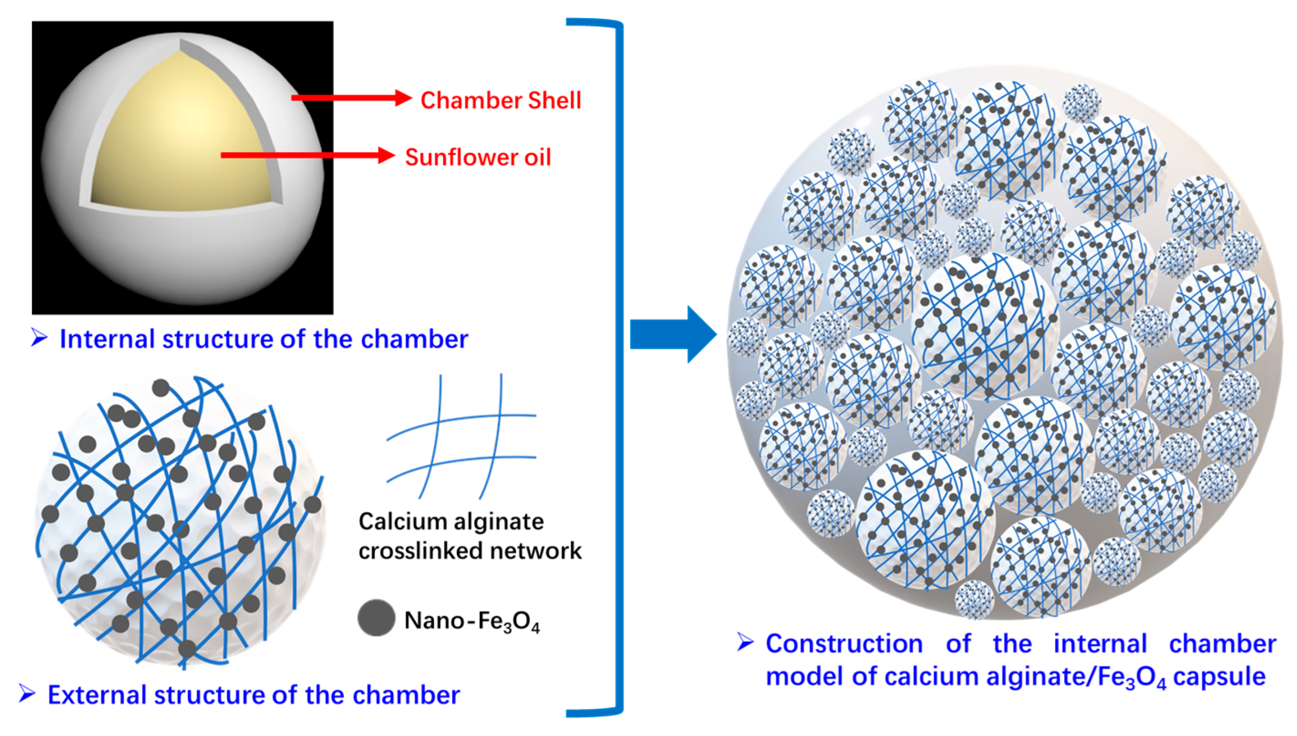 Polymers 17 03187 g030