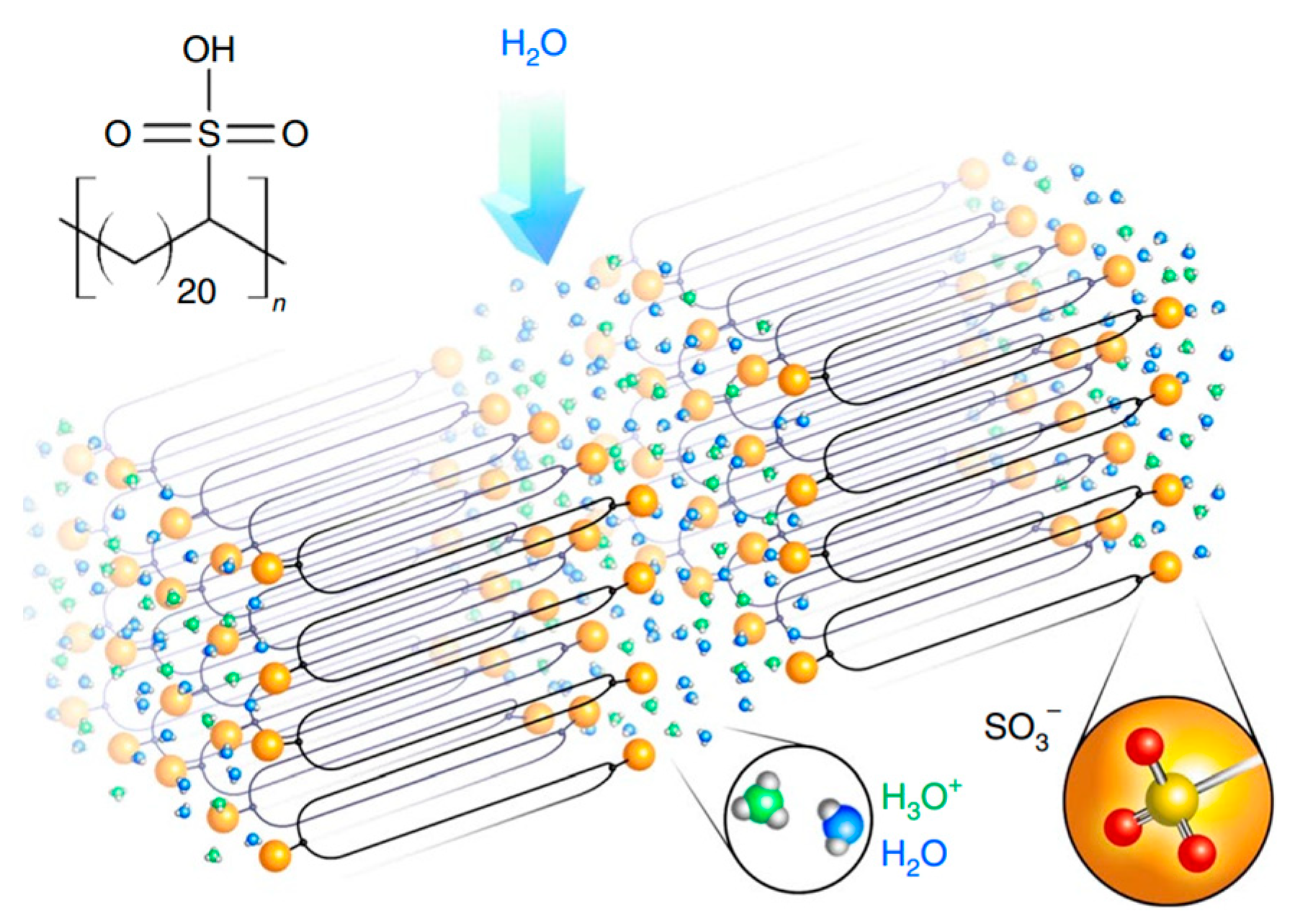 Polymers 17 03188 g004 Polymers 17 03188 g004
