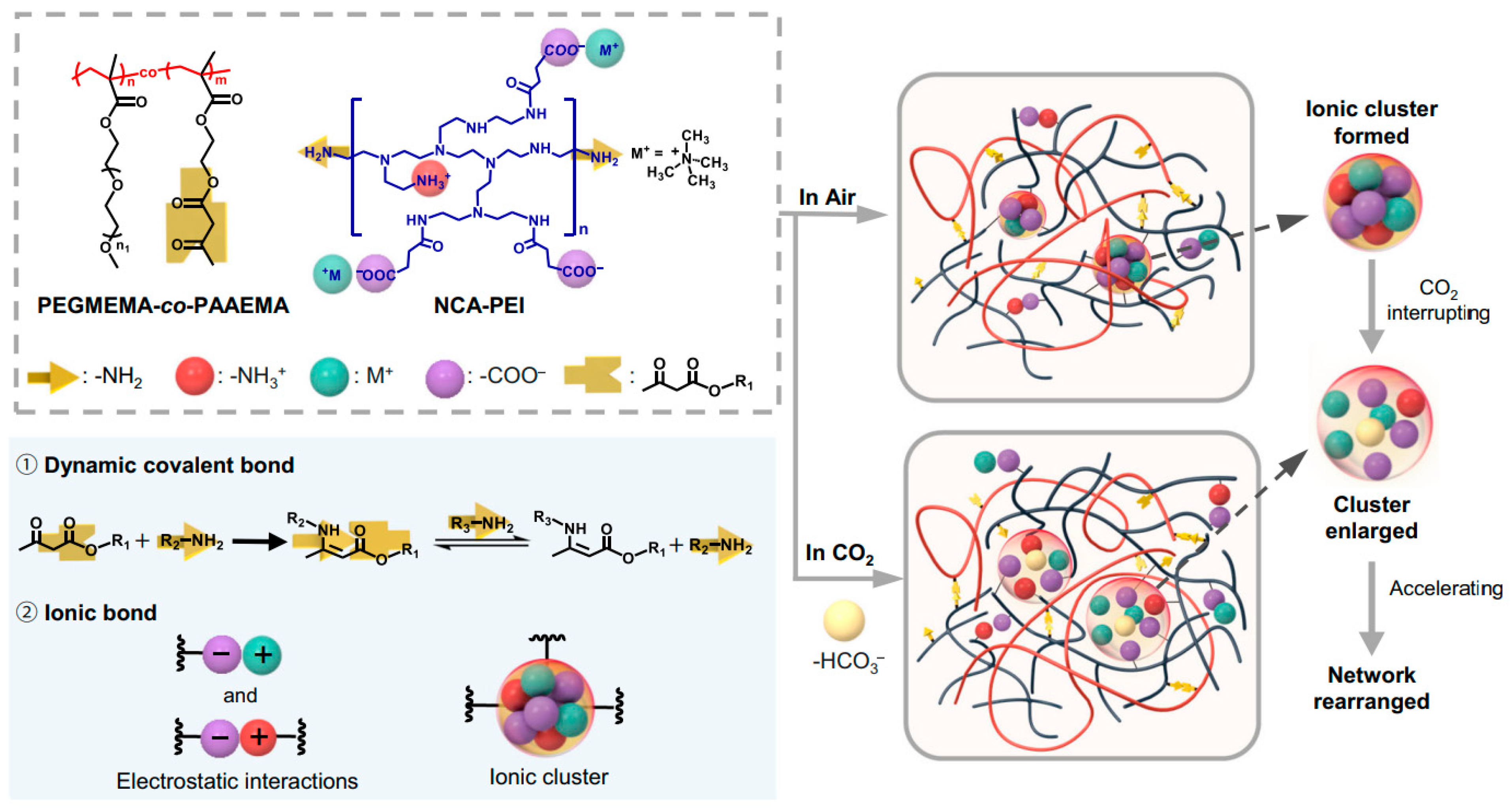 Polymers 17 03188 g013 Polymers 17 03188 g013
