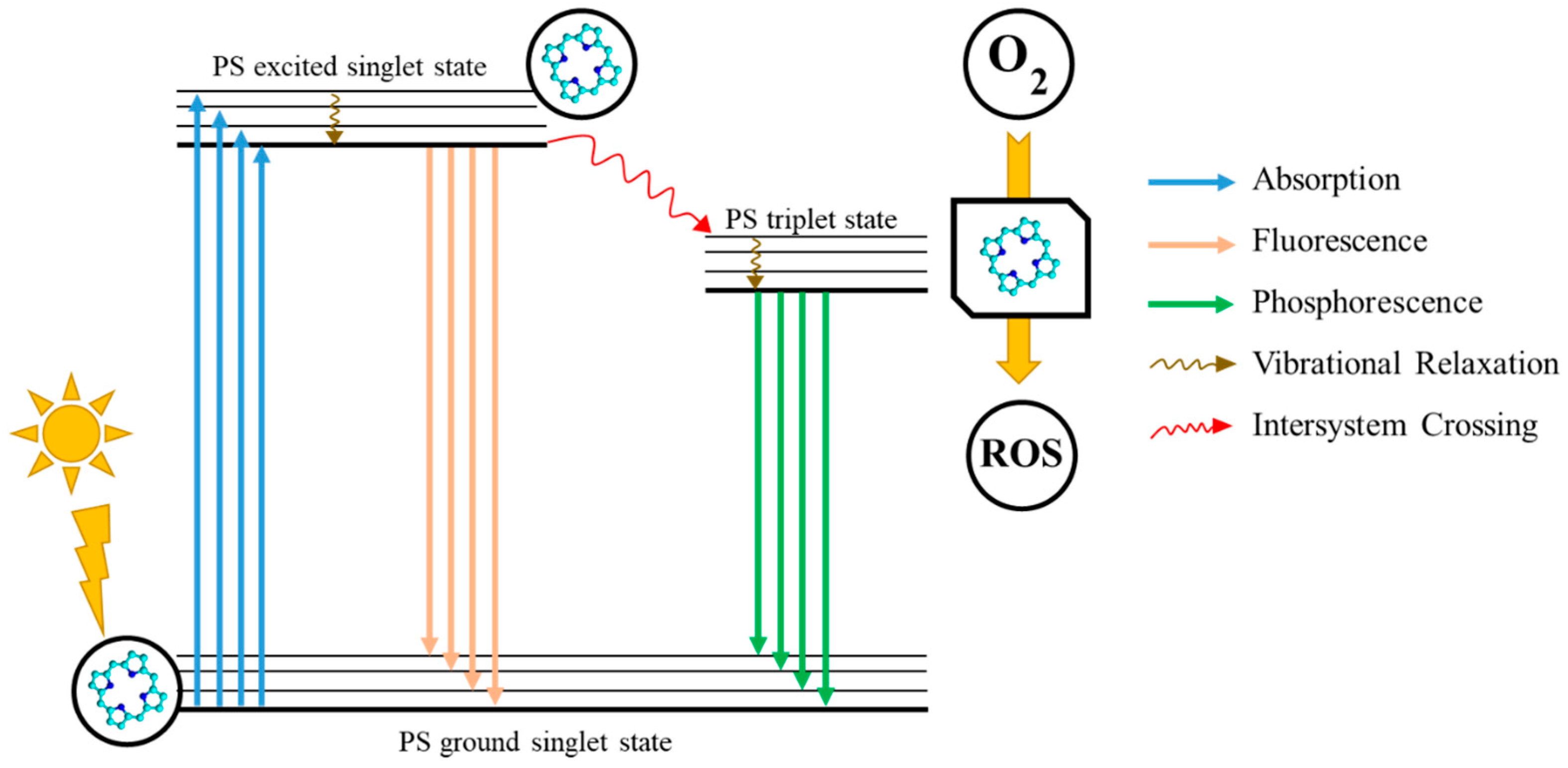Polymers 17 03190 g001