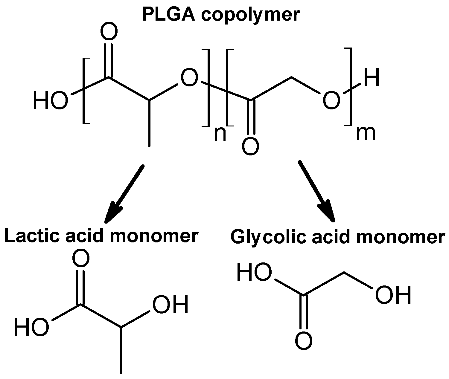 Polymers 17 03190 g003