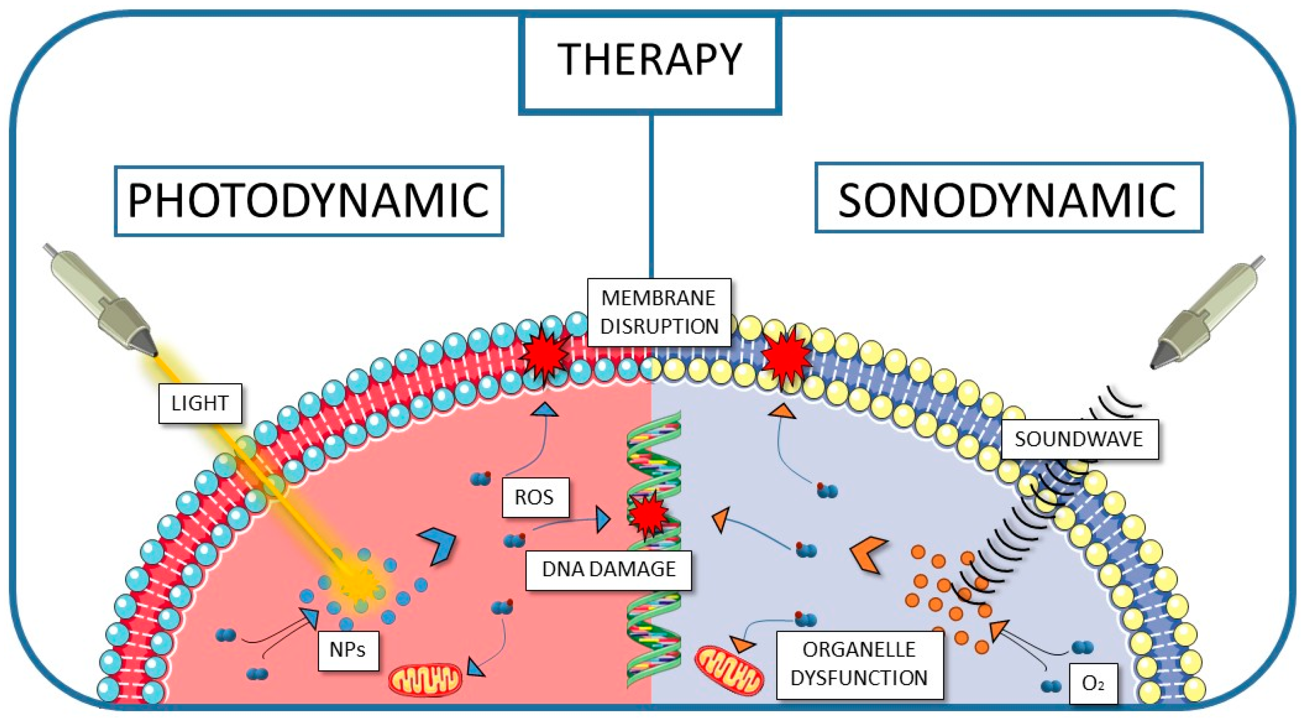 Polymers 17 03190 g004