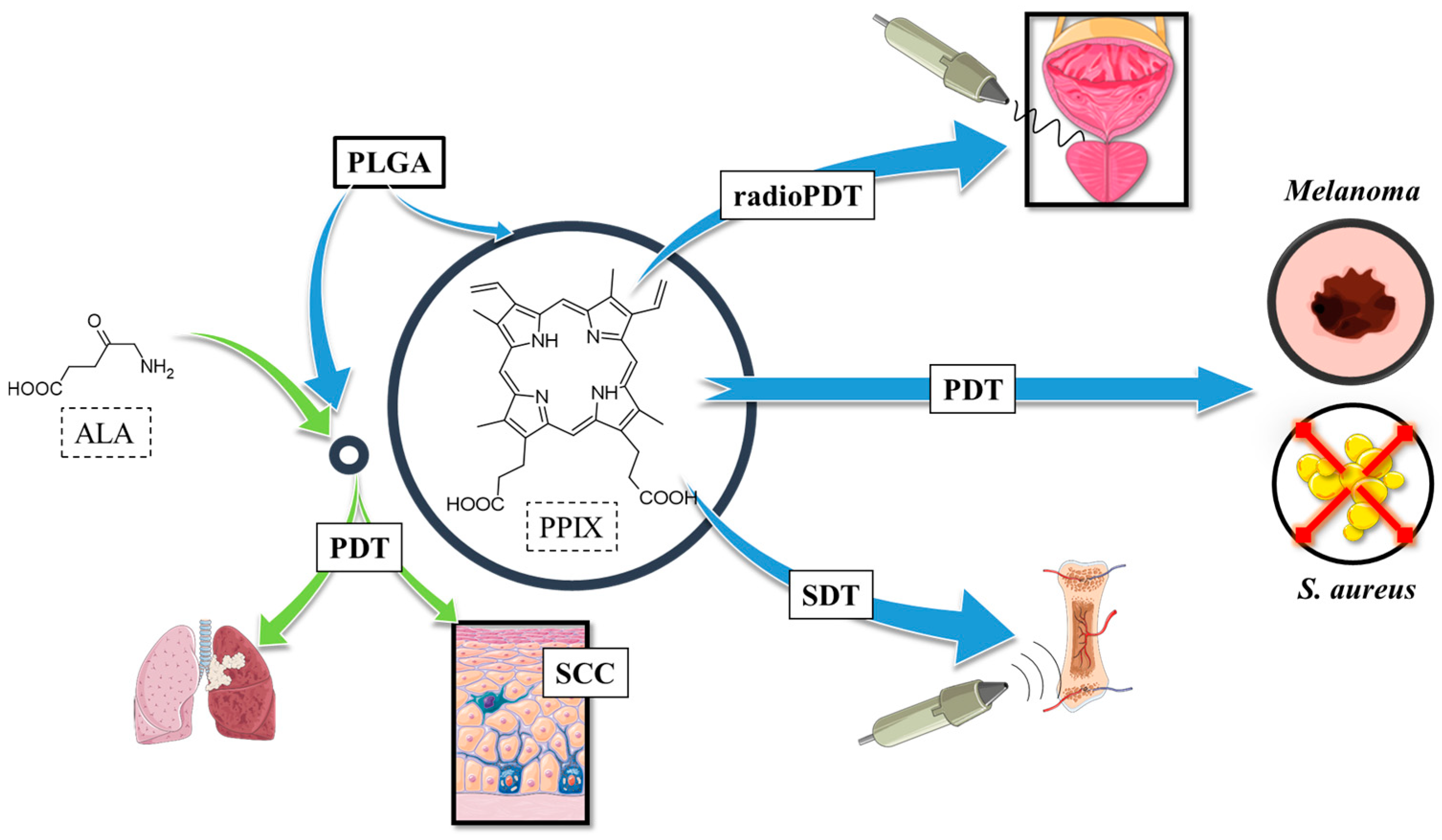 Polymers 17 03190 g007