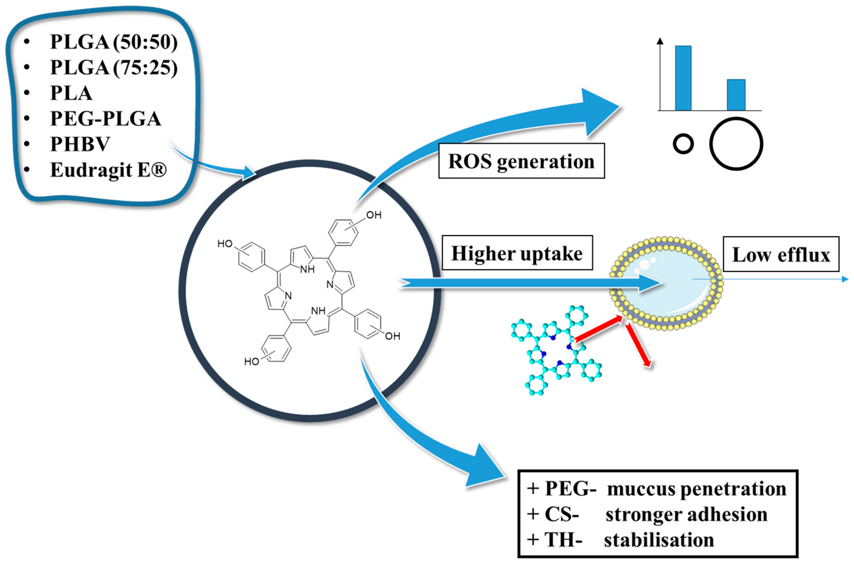 Polymers 17 03190 g008