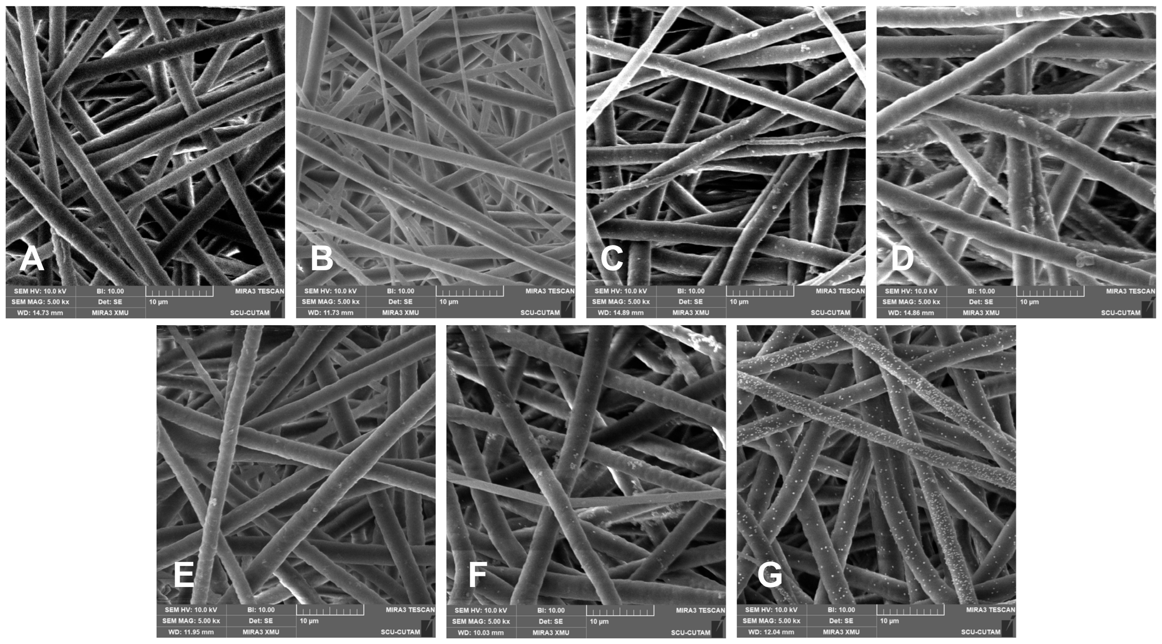 Polymers 17 03192 g002