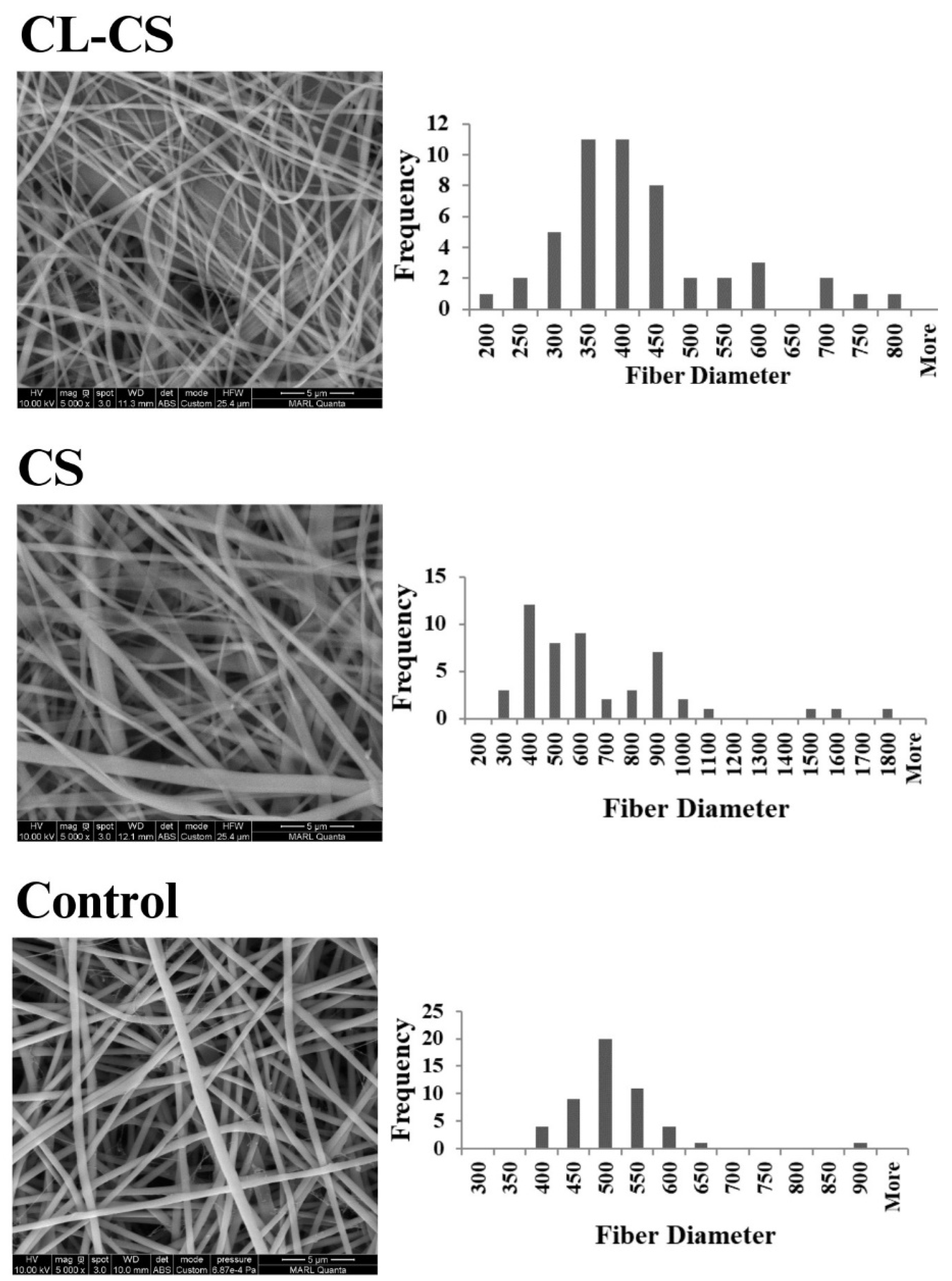 Polymers 17 03195 g002