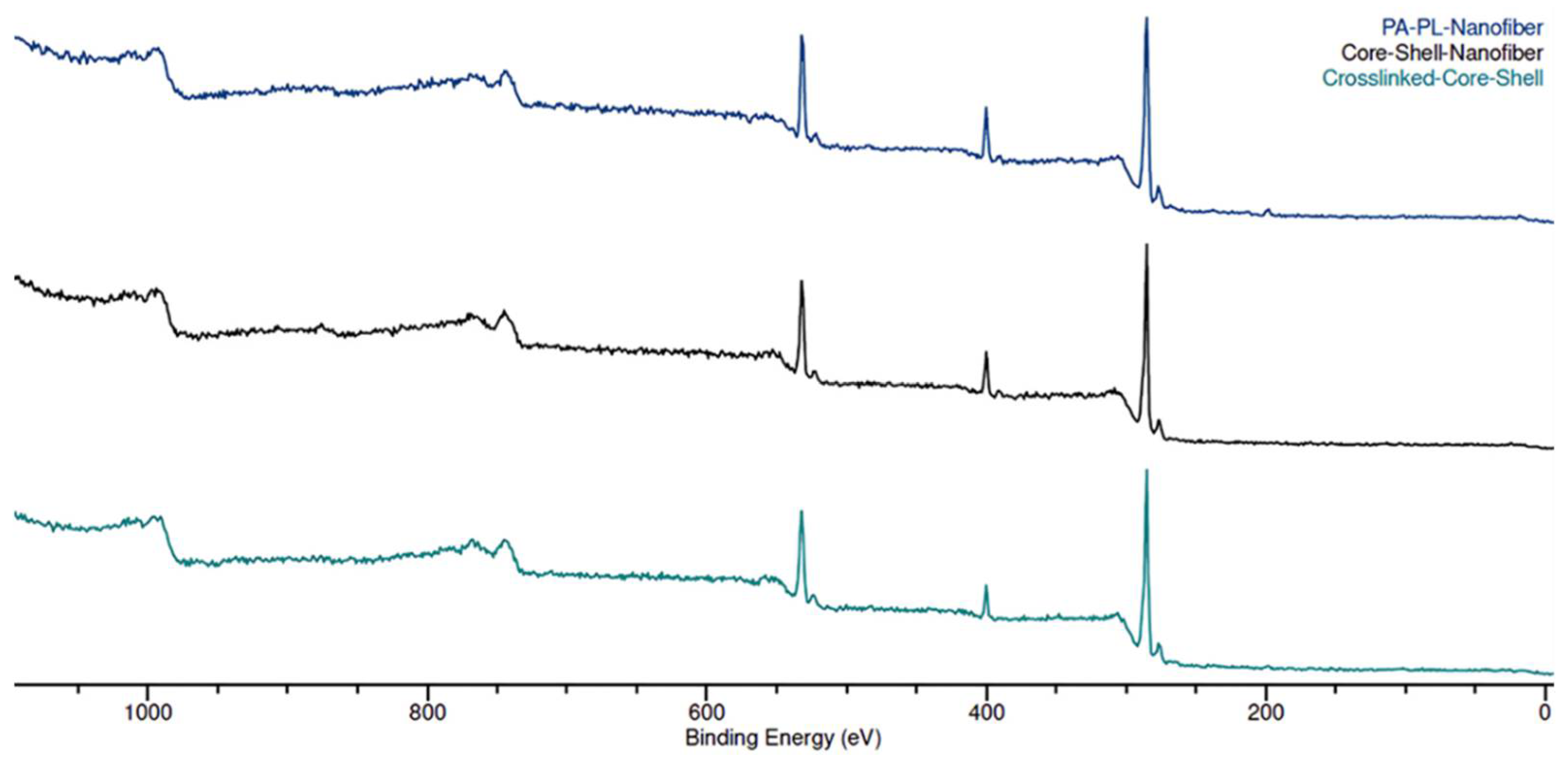 Polymers 17 03195 g004