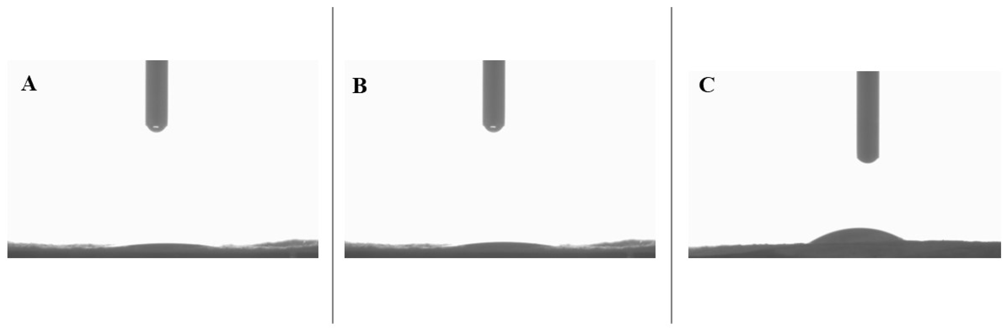 Polymers 17 03195 g006