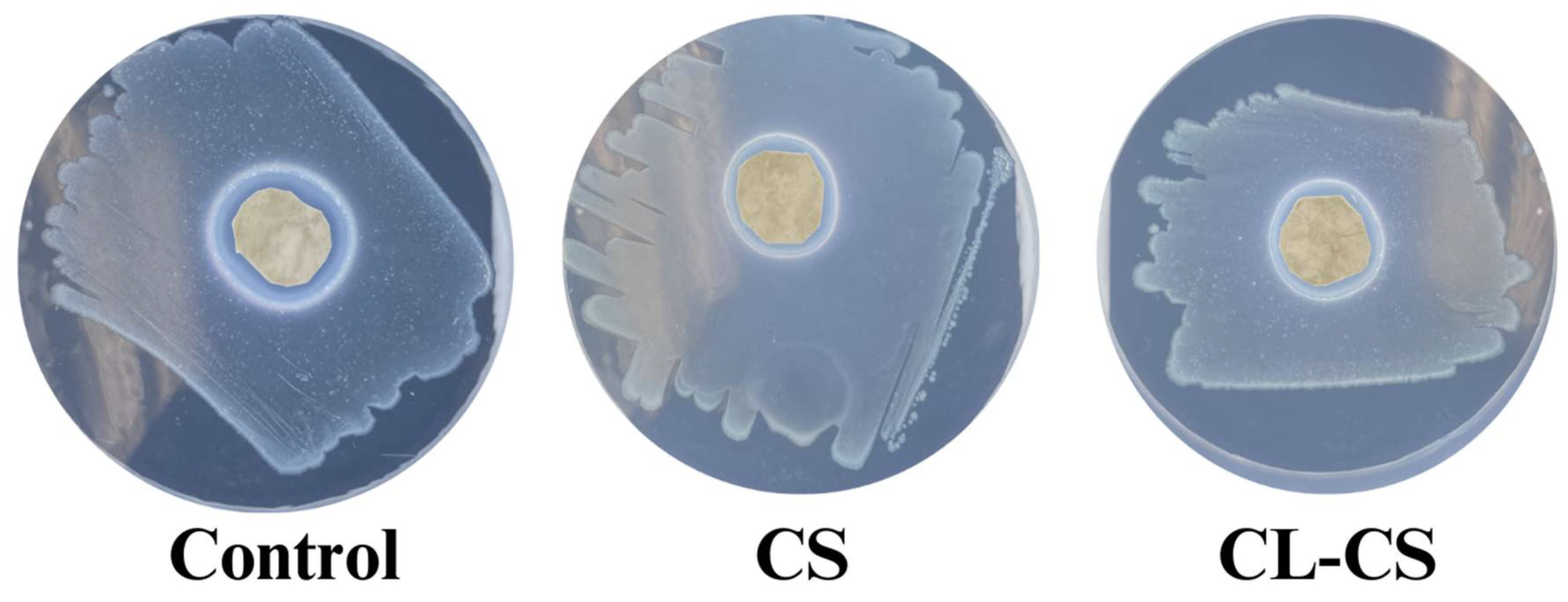 Polymers 17 03195 g007