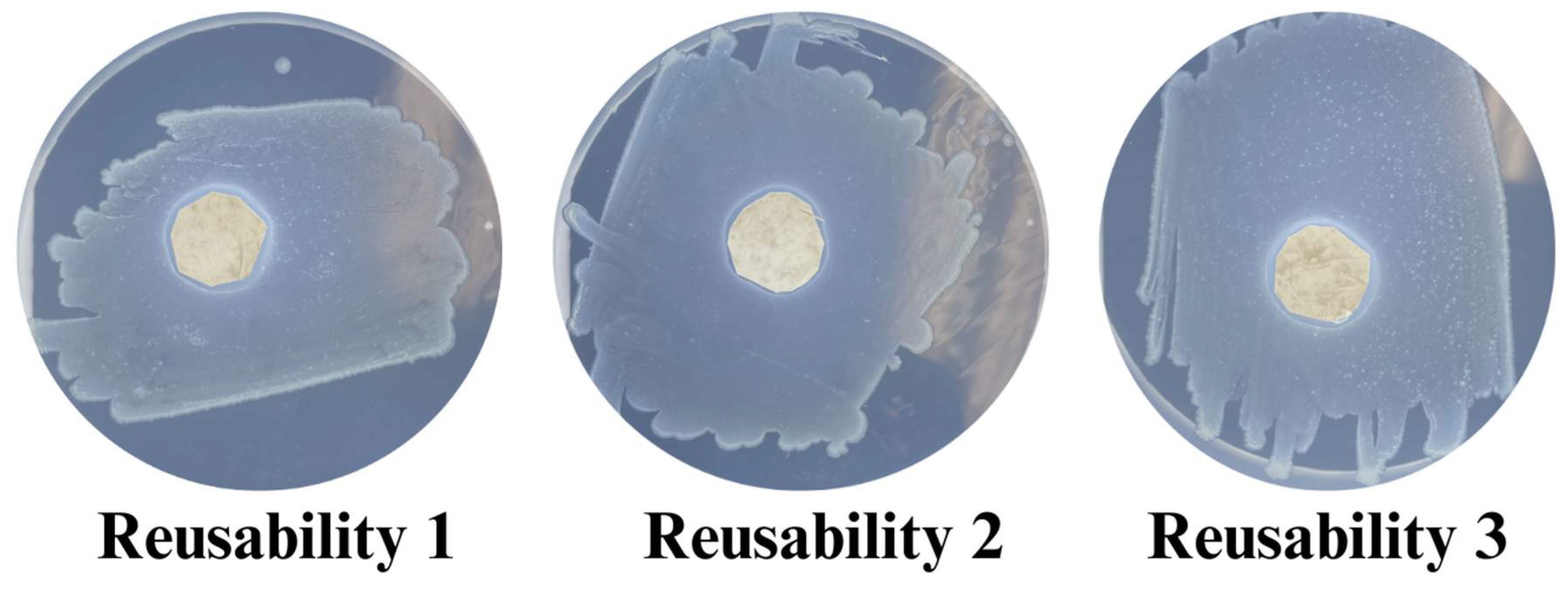 Polymers 17 03195 g009