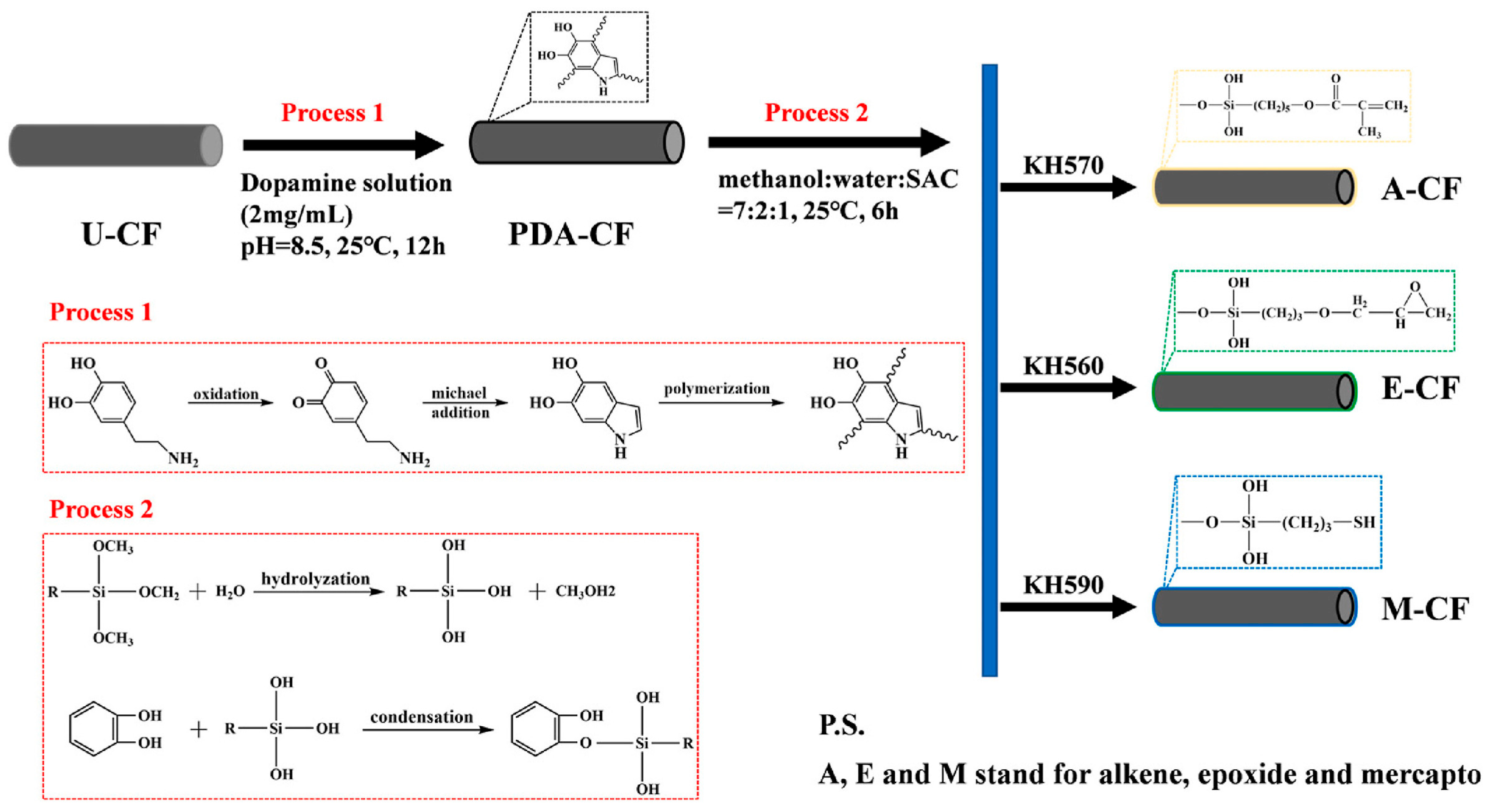 Polymers 17 03197 g007