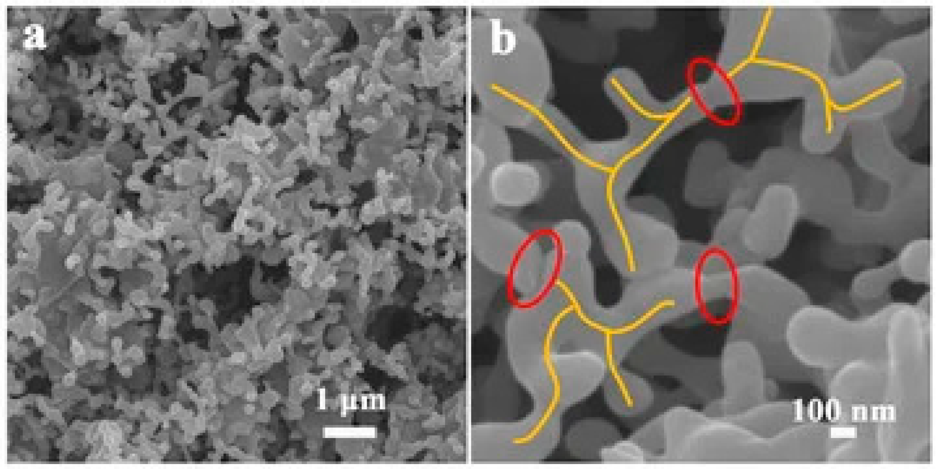 Polymers 17 03197 g011