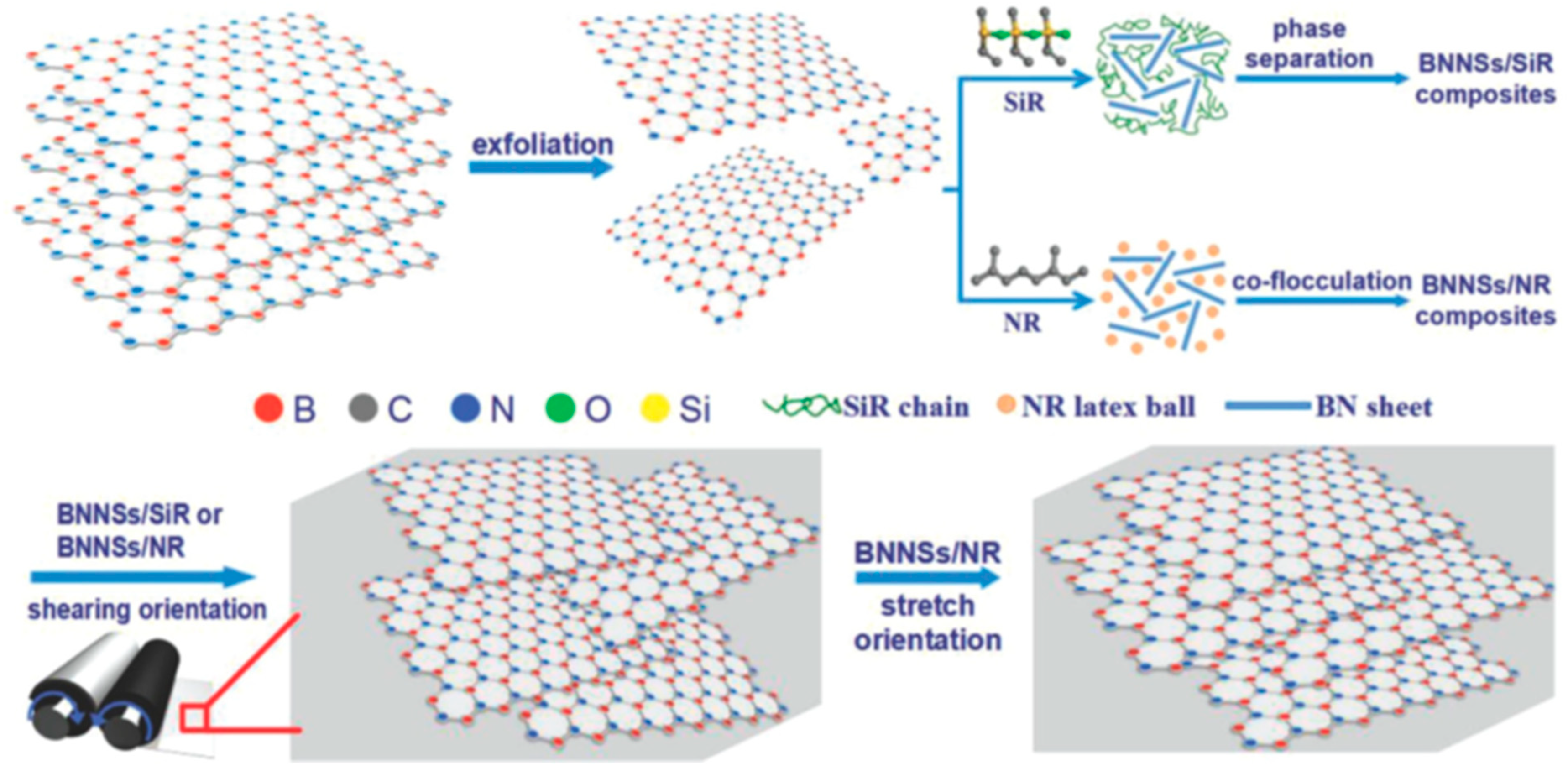 Polymers 17 03197 g014