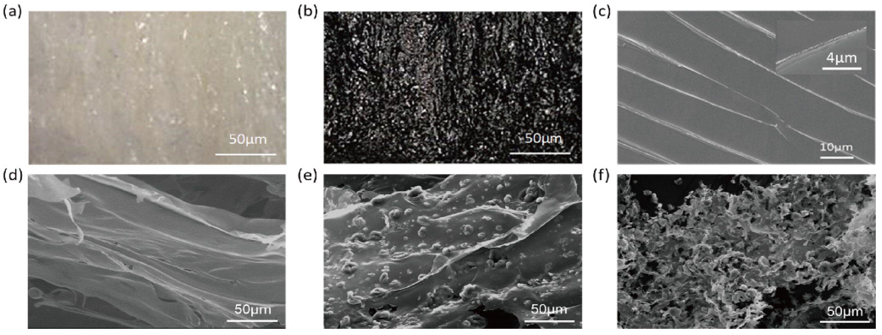 Polymers 17 03208 g002 Polymers 17 03208 g002