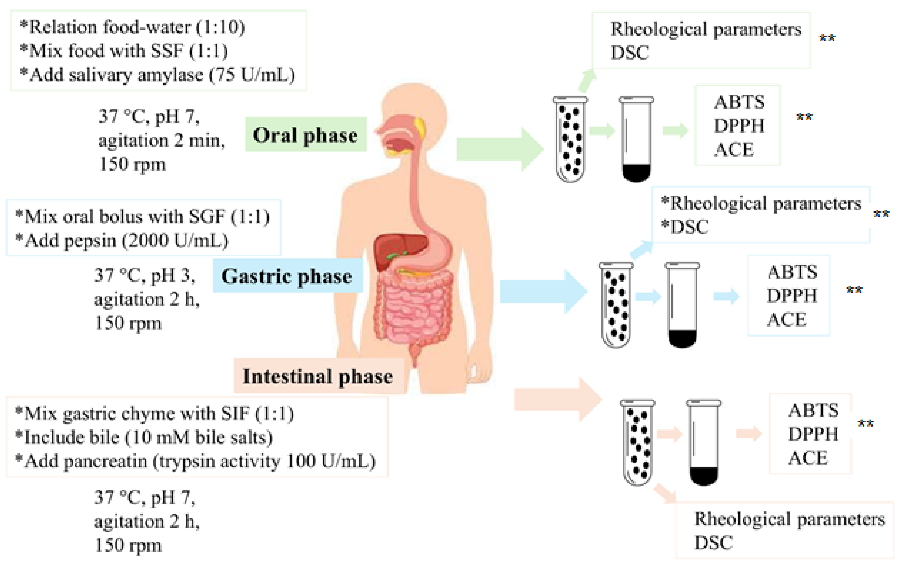 Polymers 17 03211 g001