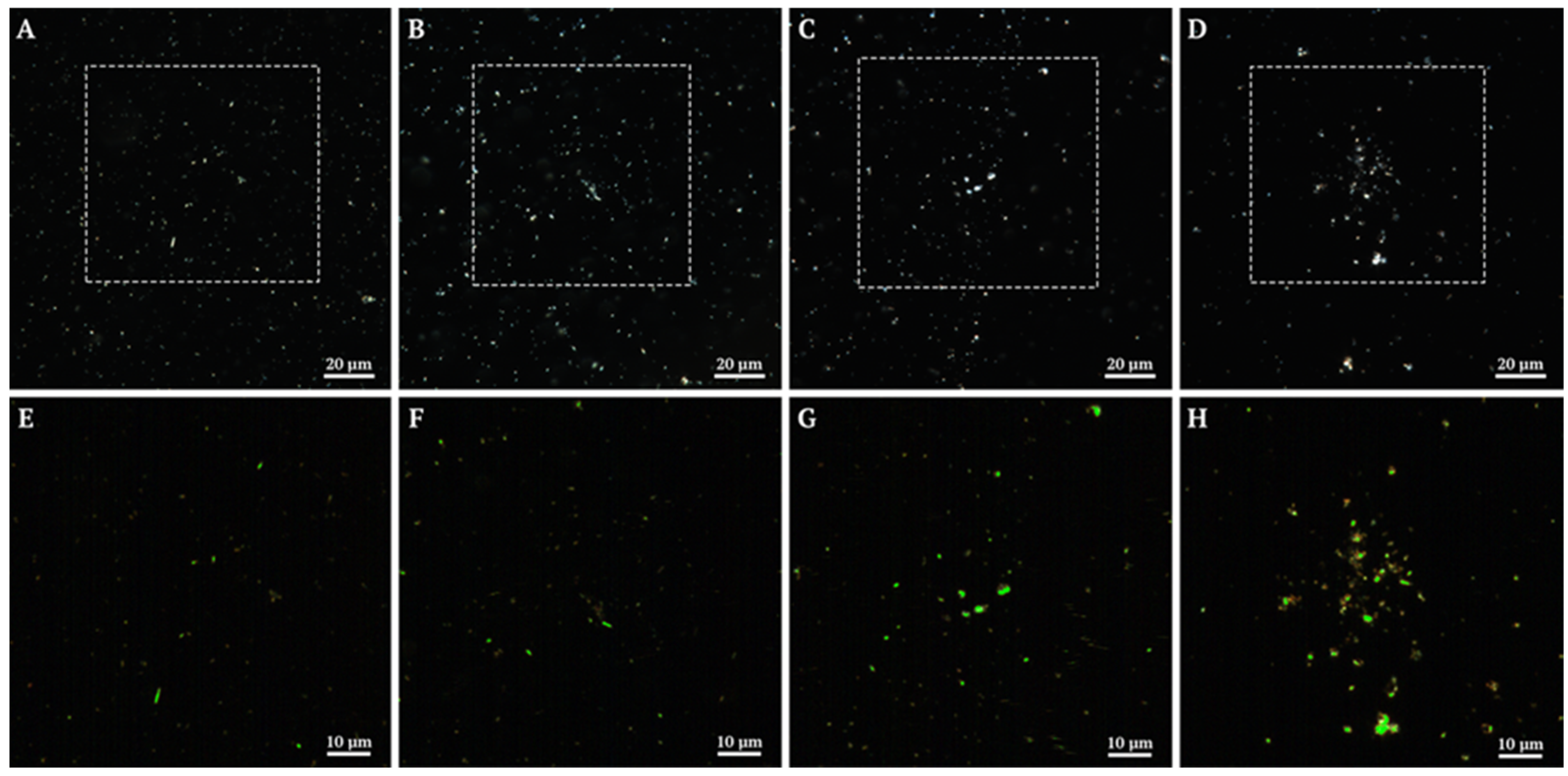 Polymers 17 03212 g003