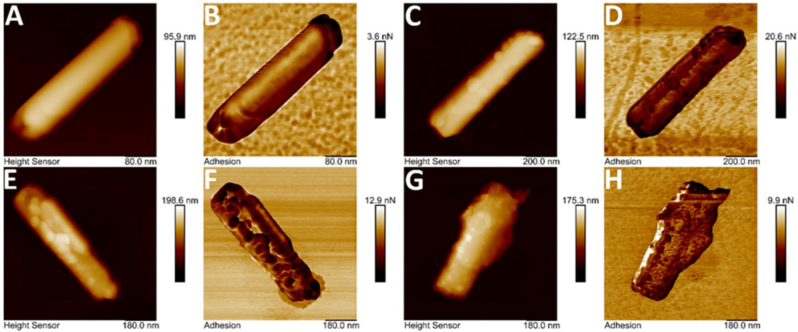 Polymers 17 03212 g004