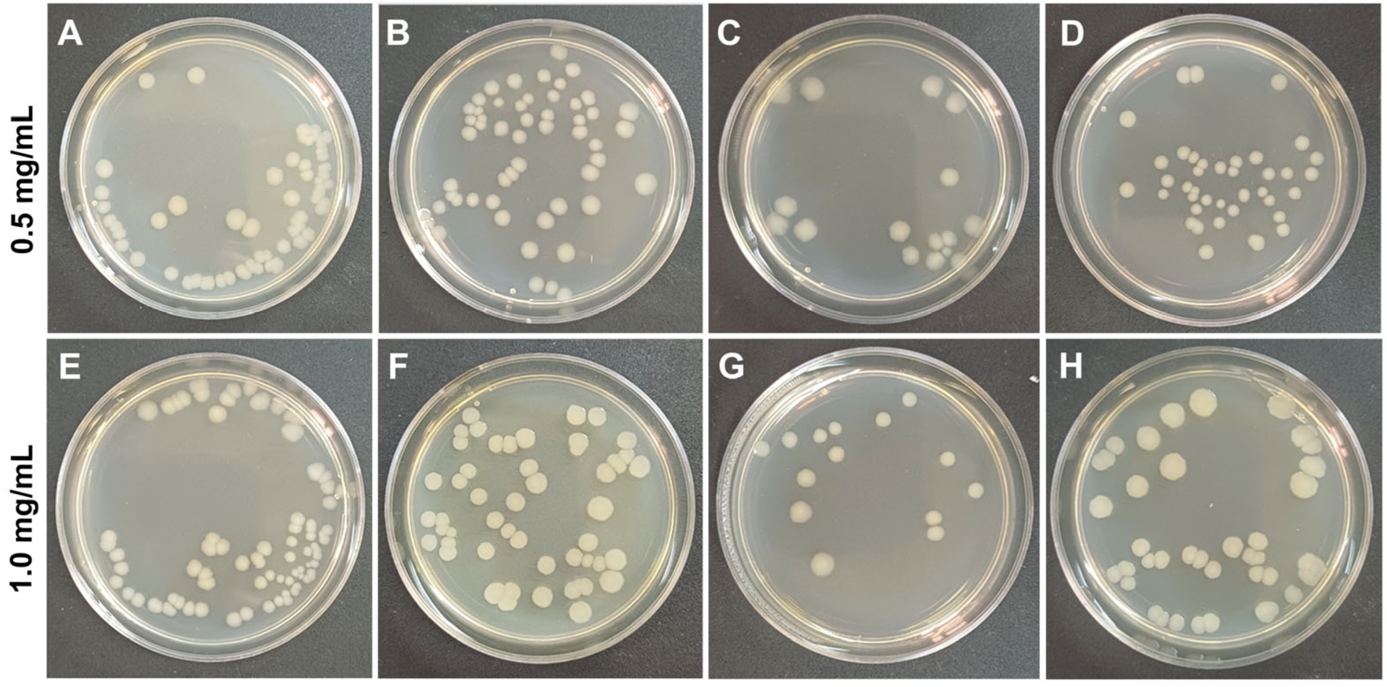 Polymers 17 03212 g005
