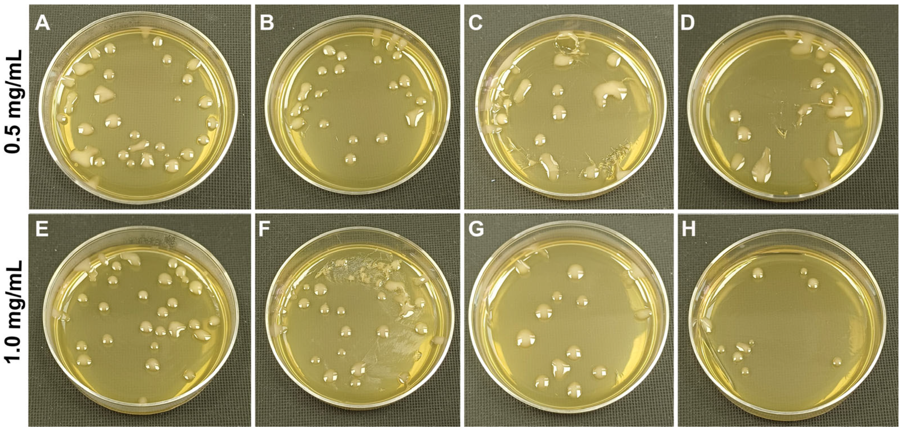 Polymers 17 03212 g006