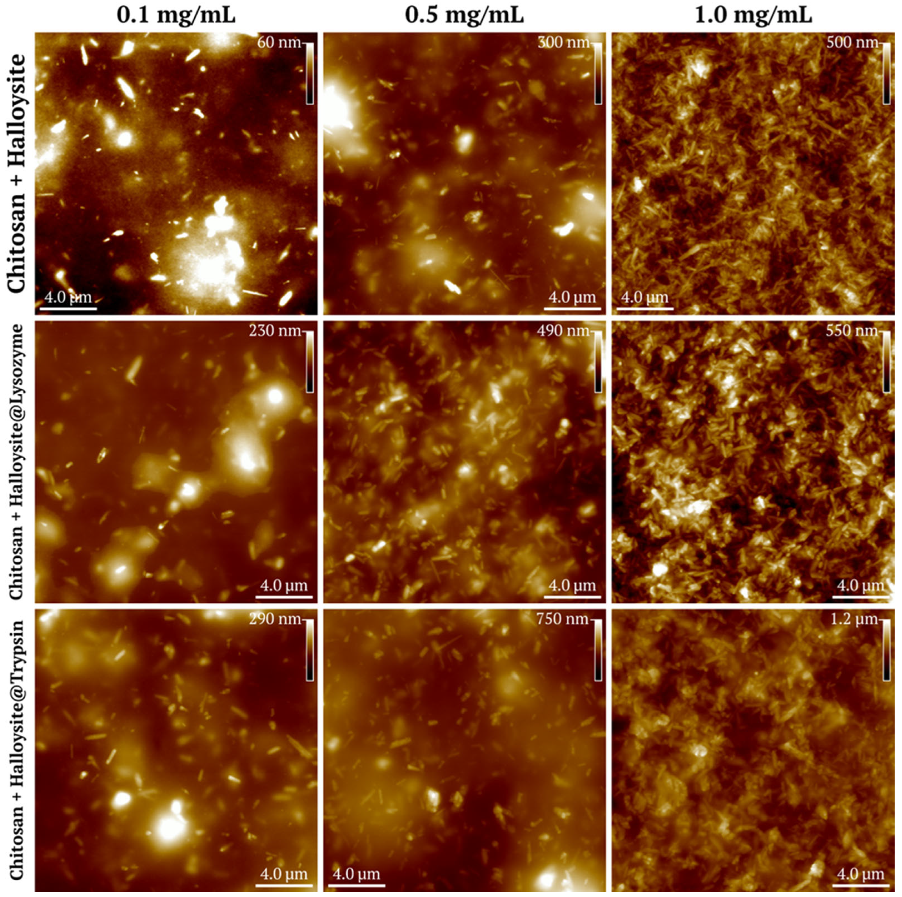 Polymers 17 03212 g008