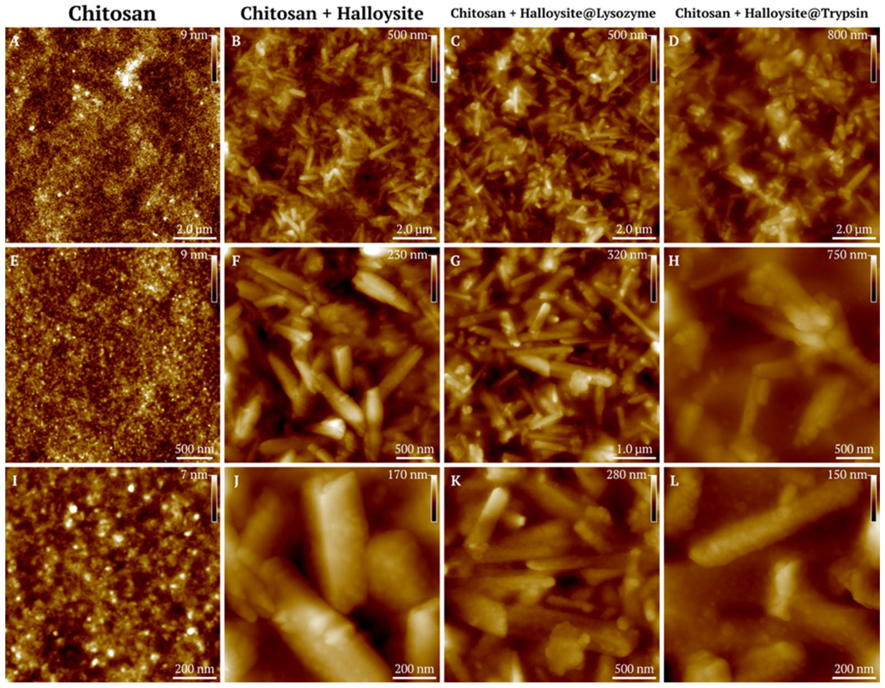 Polymers 17 03212 g010
