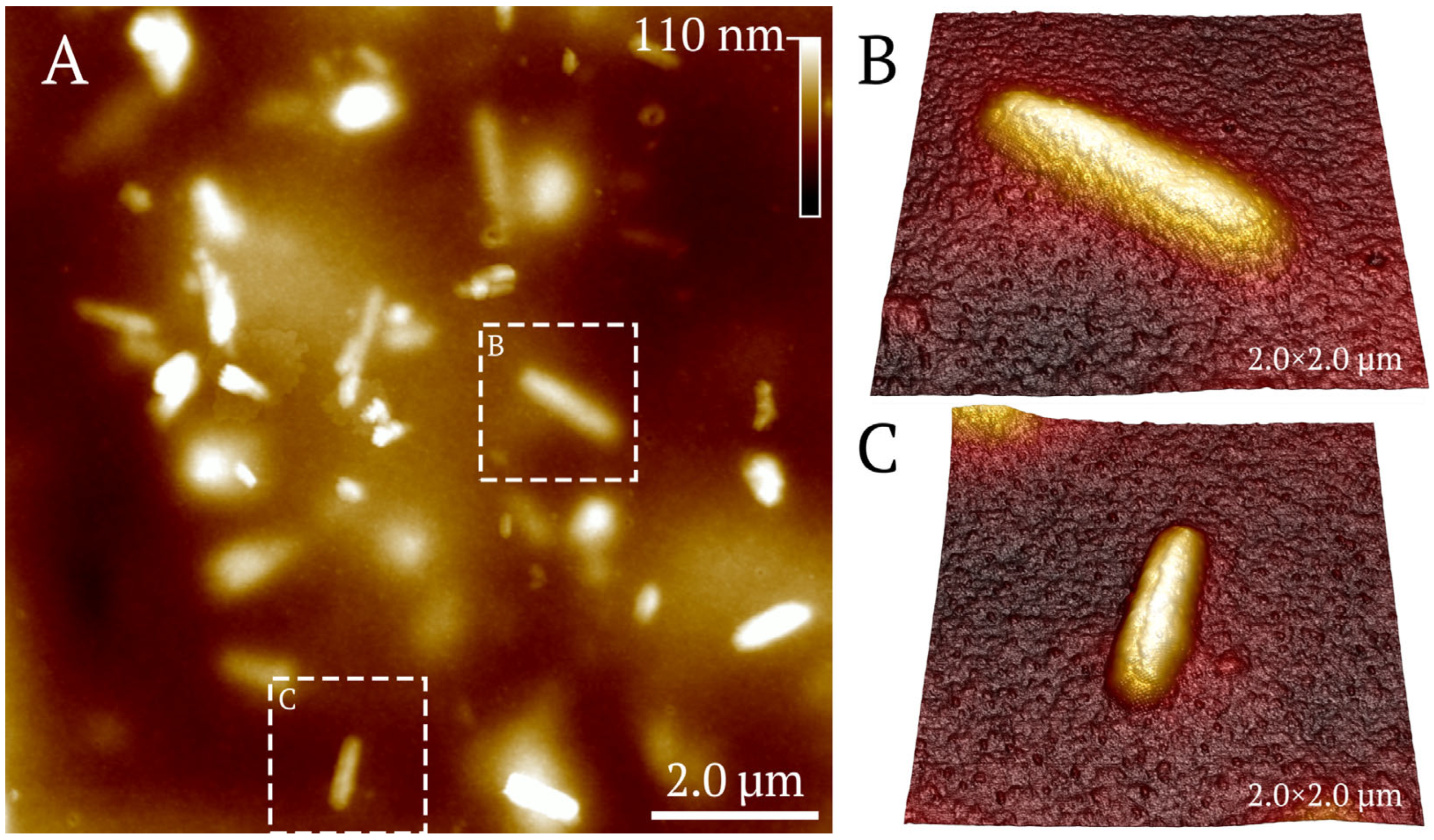 Polymers 17 03212 g011