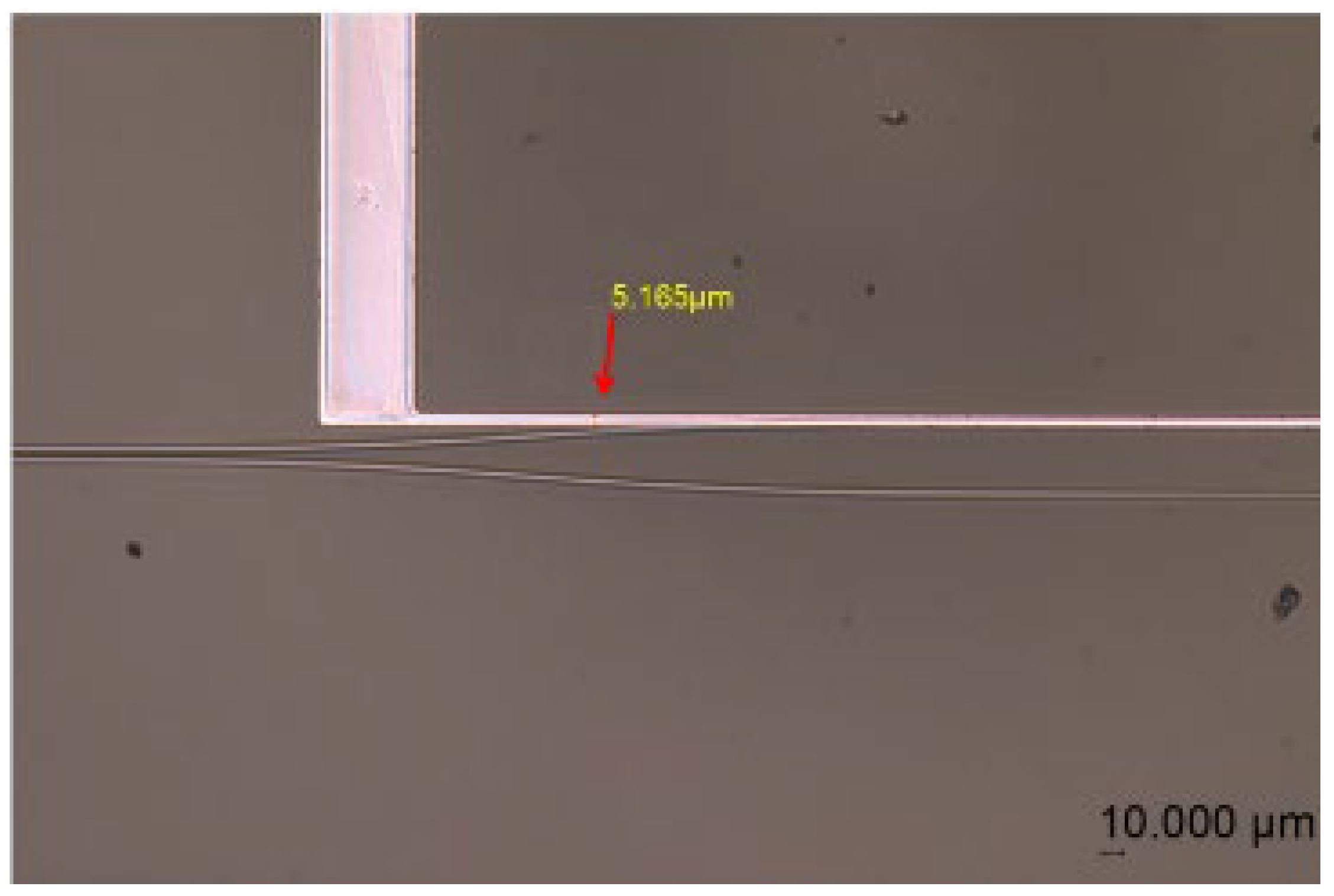 Polymers 17 03214 g010