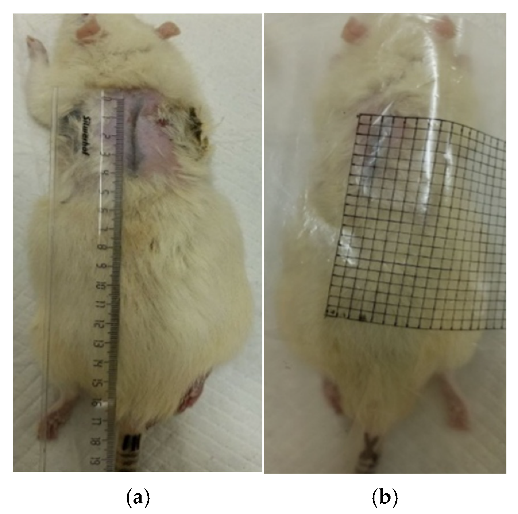 Polymers 17 03215 g002 Polymers 17 03215 g002
