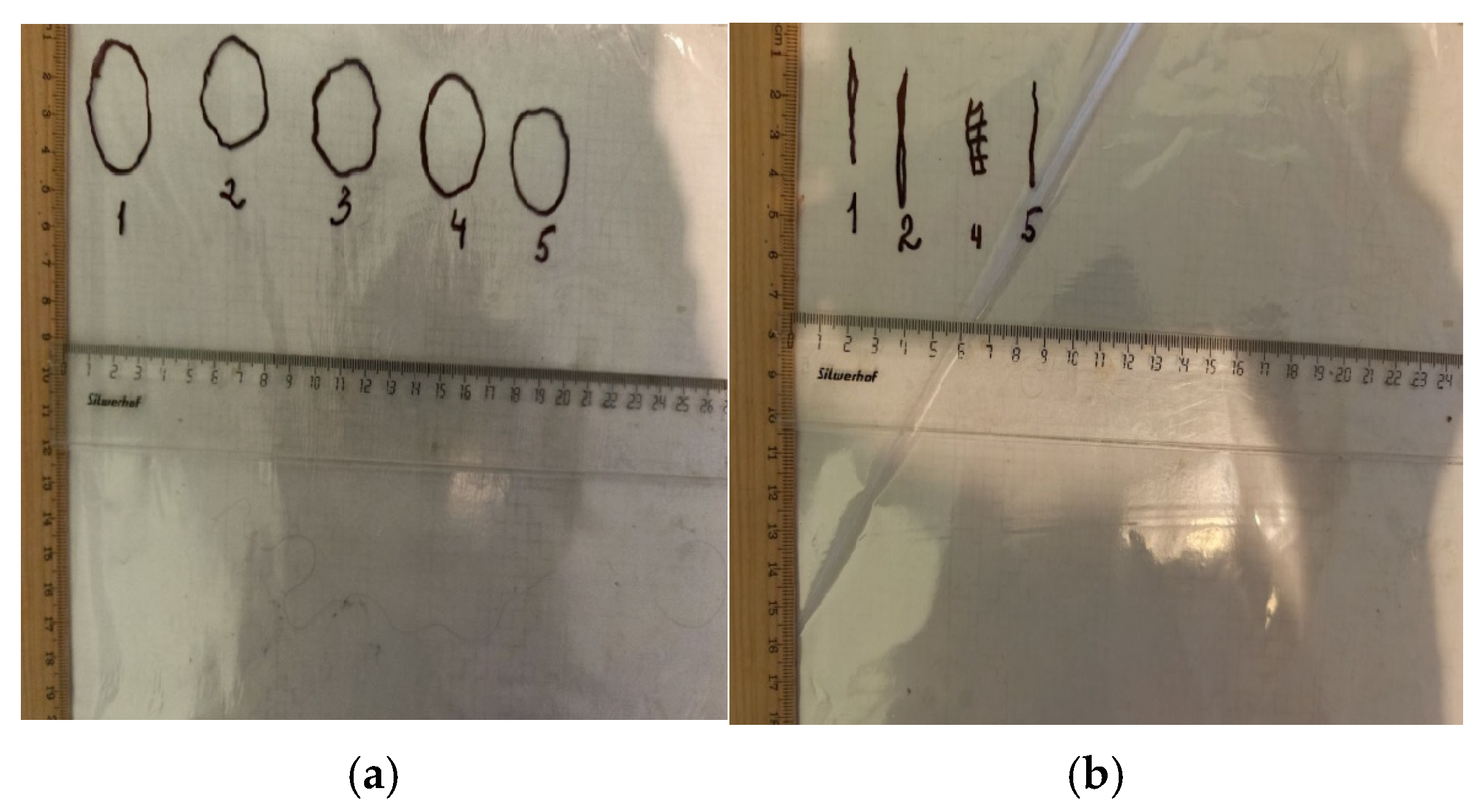 Polymers 17 03215 g003 Polymers 17 03215 g003