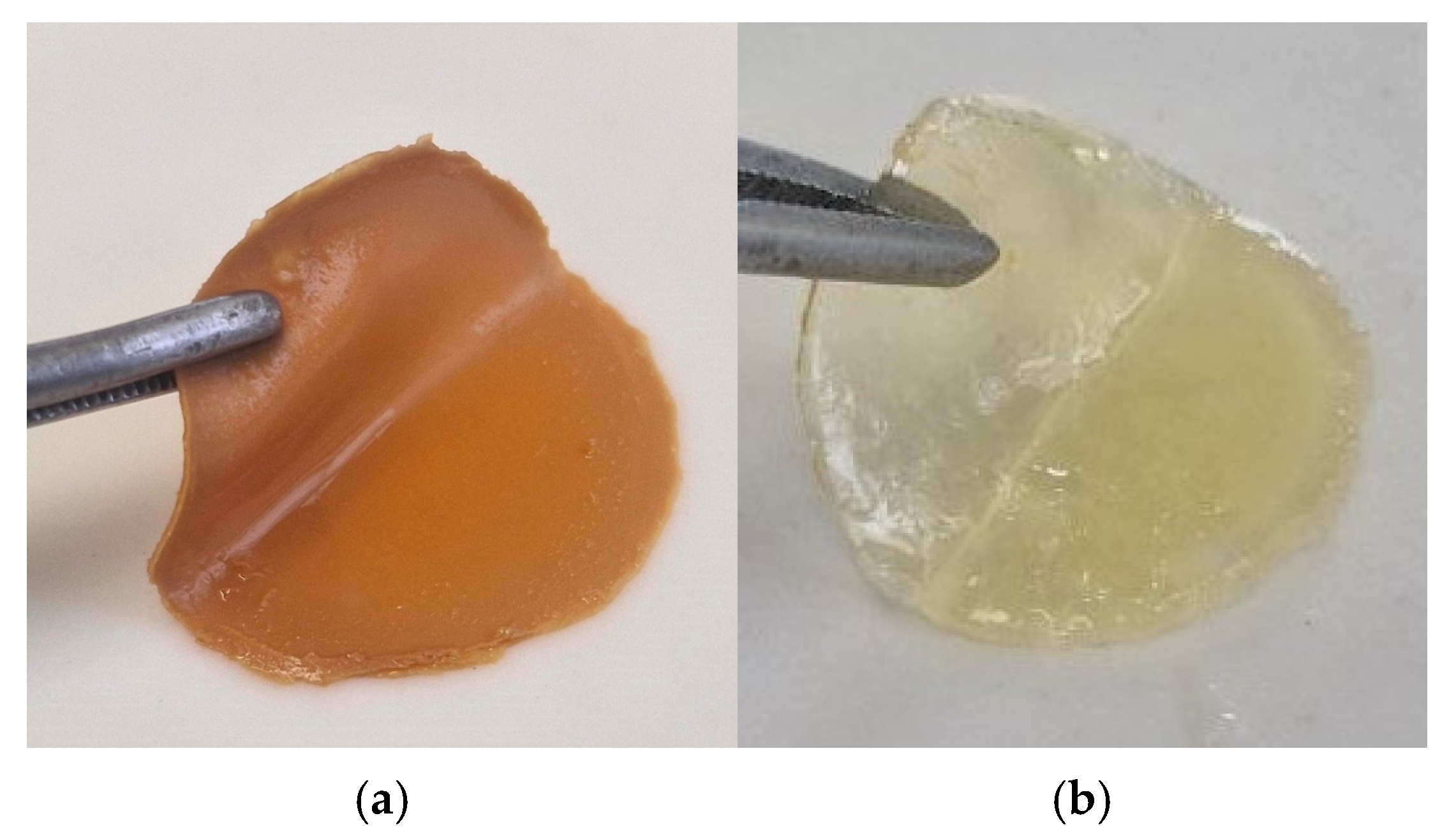 Polymers 17 03215 g004 Polymers 17 03215 g004