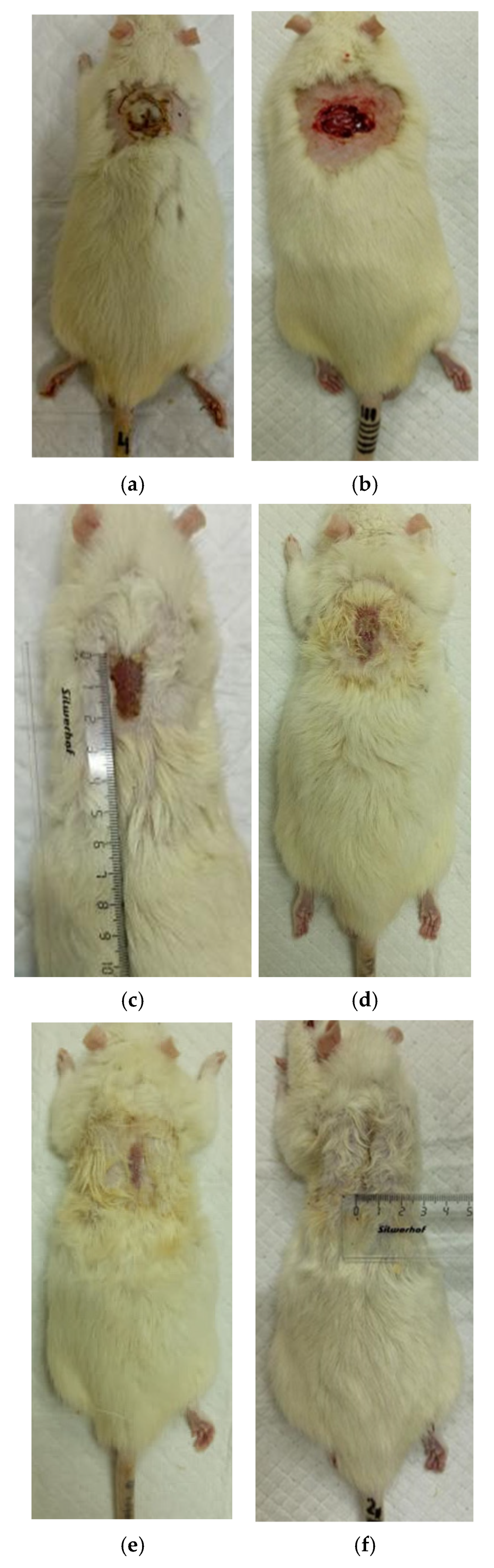 Polymers 17 03215 g007 Polymers 17 03215 g007