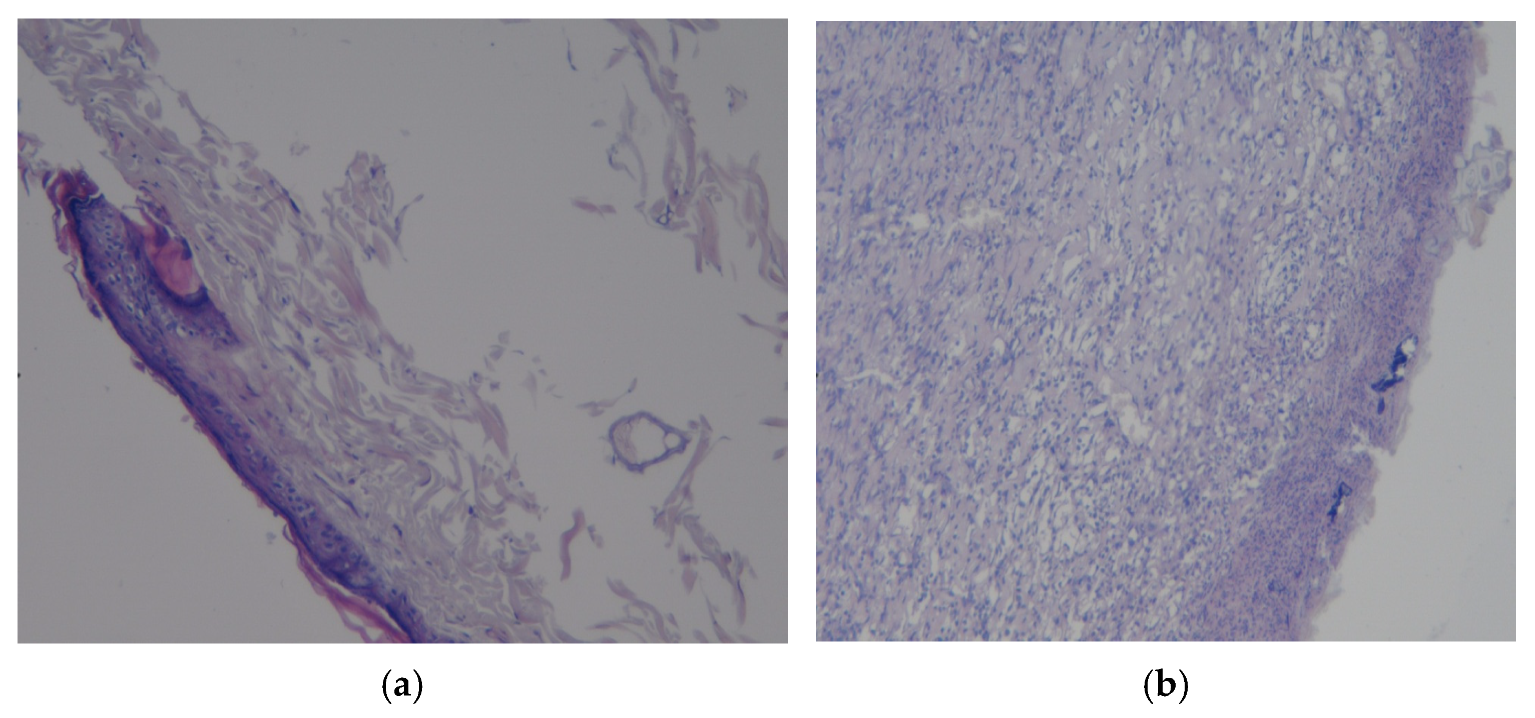 Polymers 17 03215 g009 Polymers 17 03215 g009