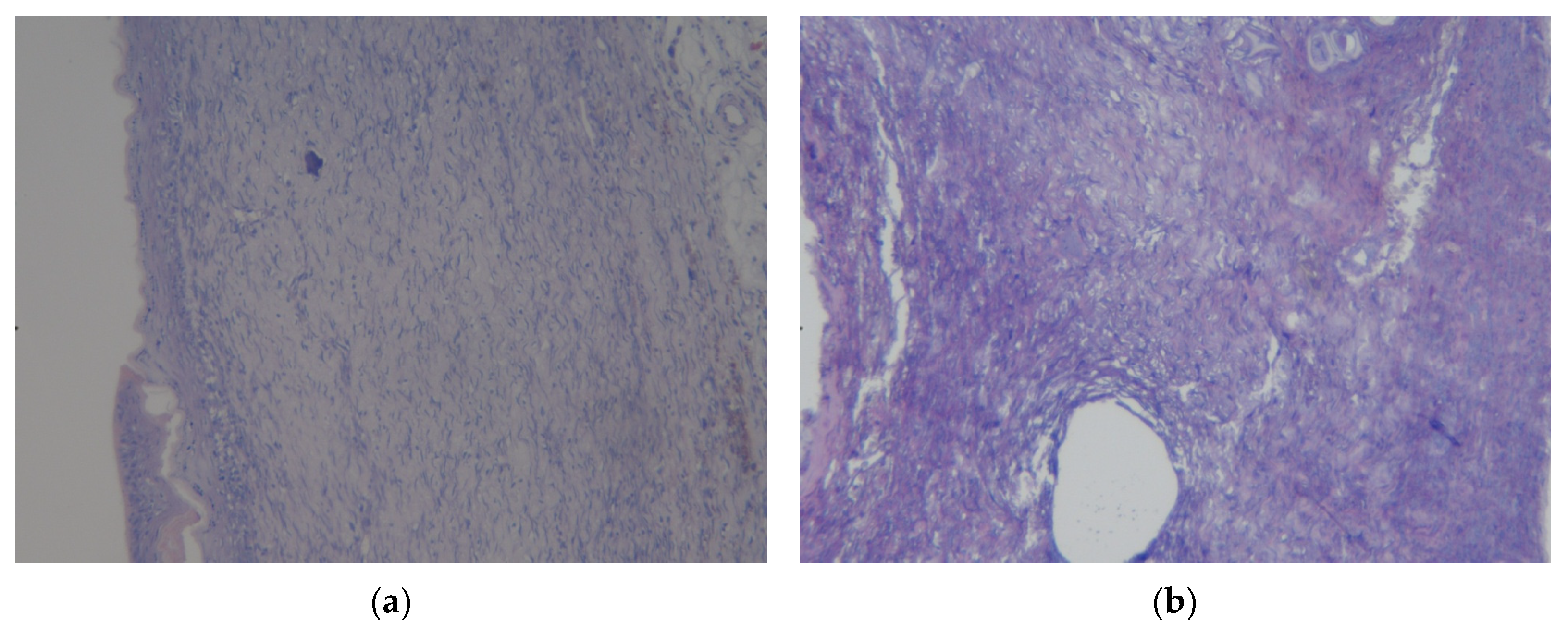 Polymers 17 03215 g010 Polymers 17 03215 g010