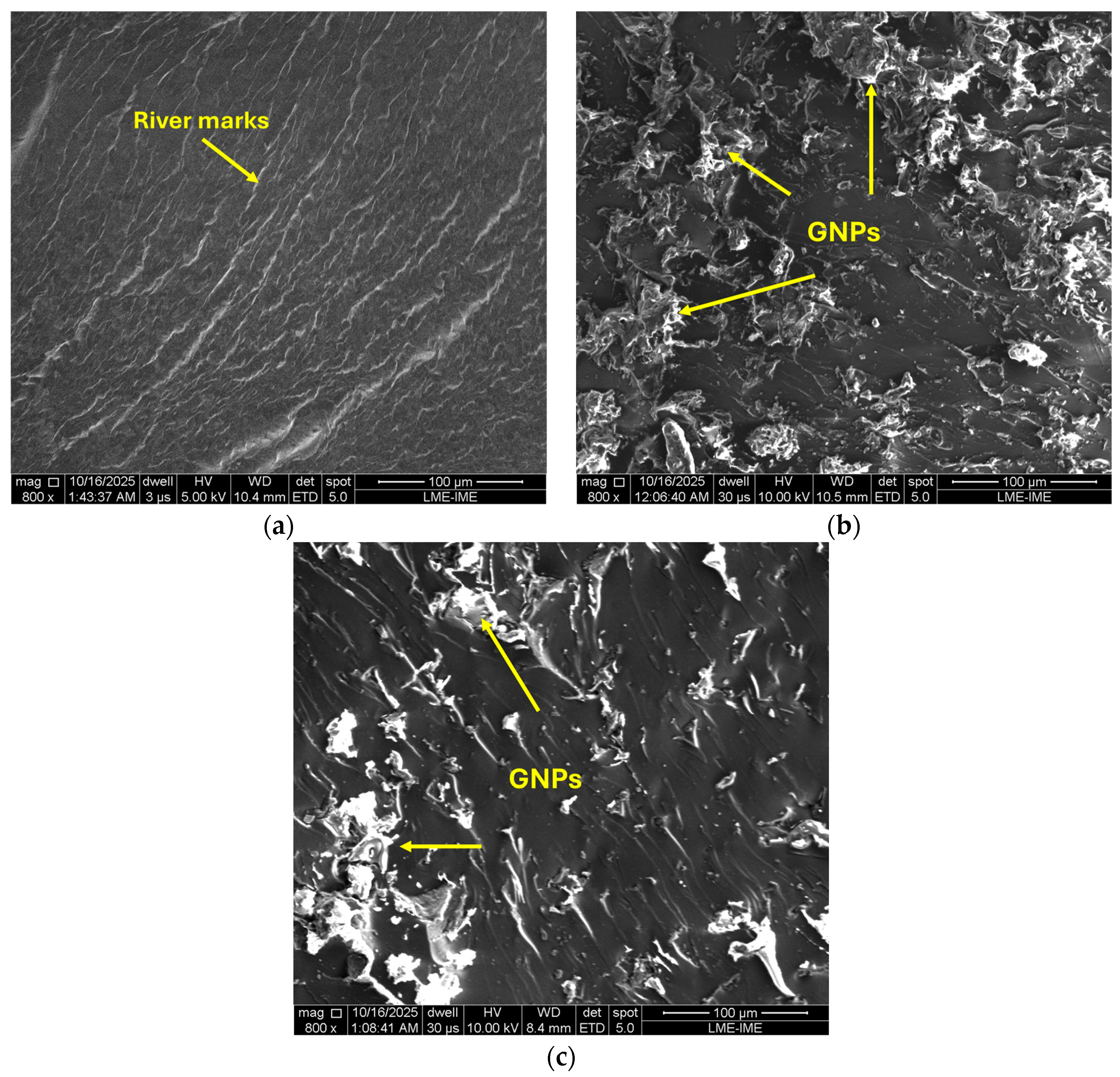 Polymers 17 03218 g014 Polymers 17 03218 g014