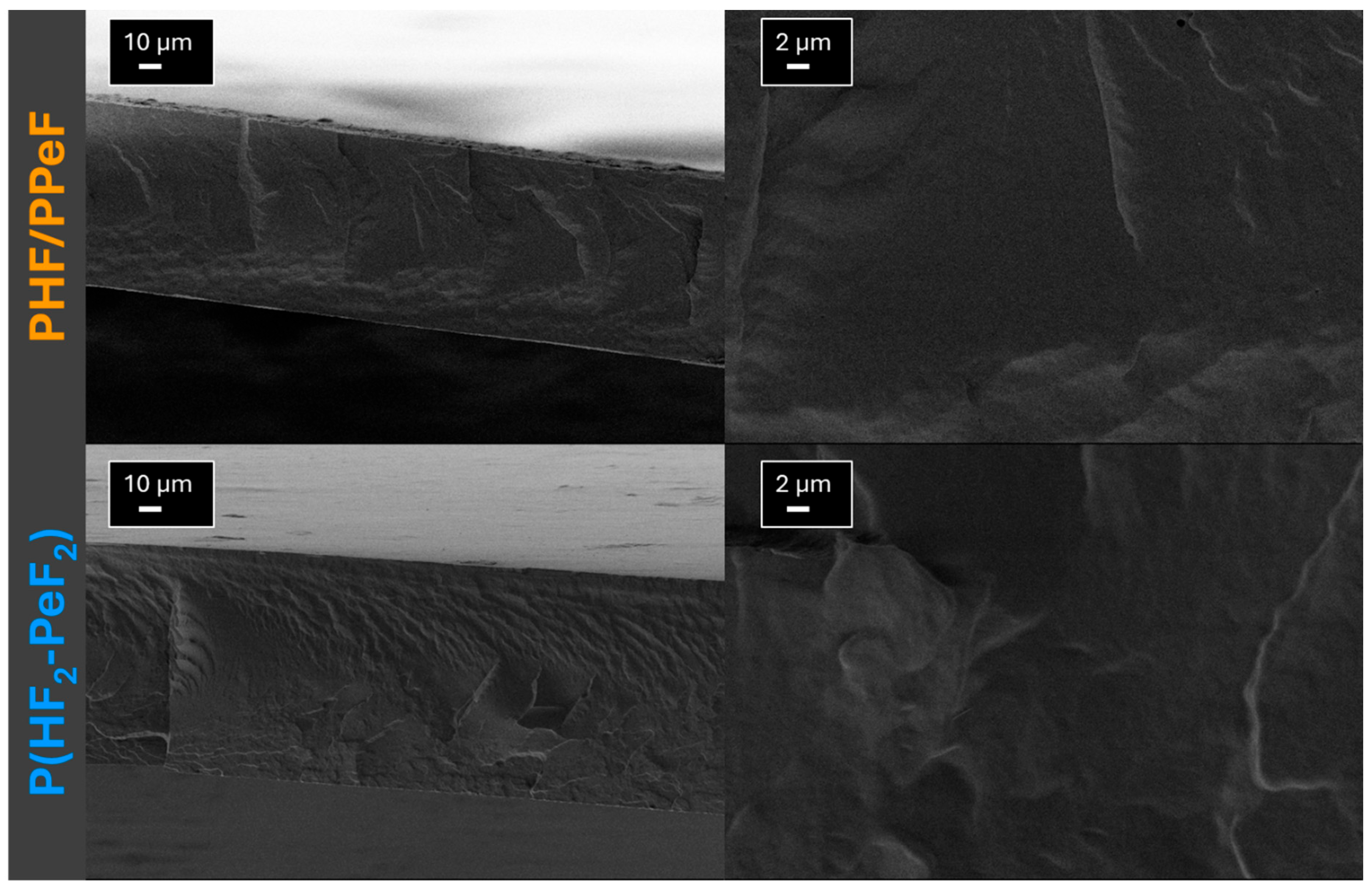Polymers 17 03220 g004 Polymers 17 03220 g004