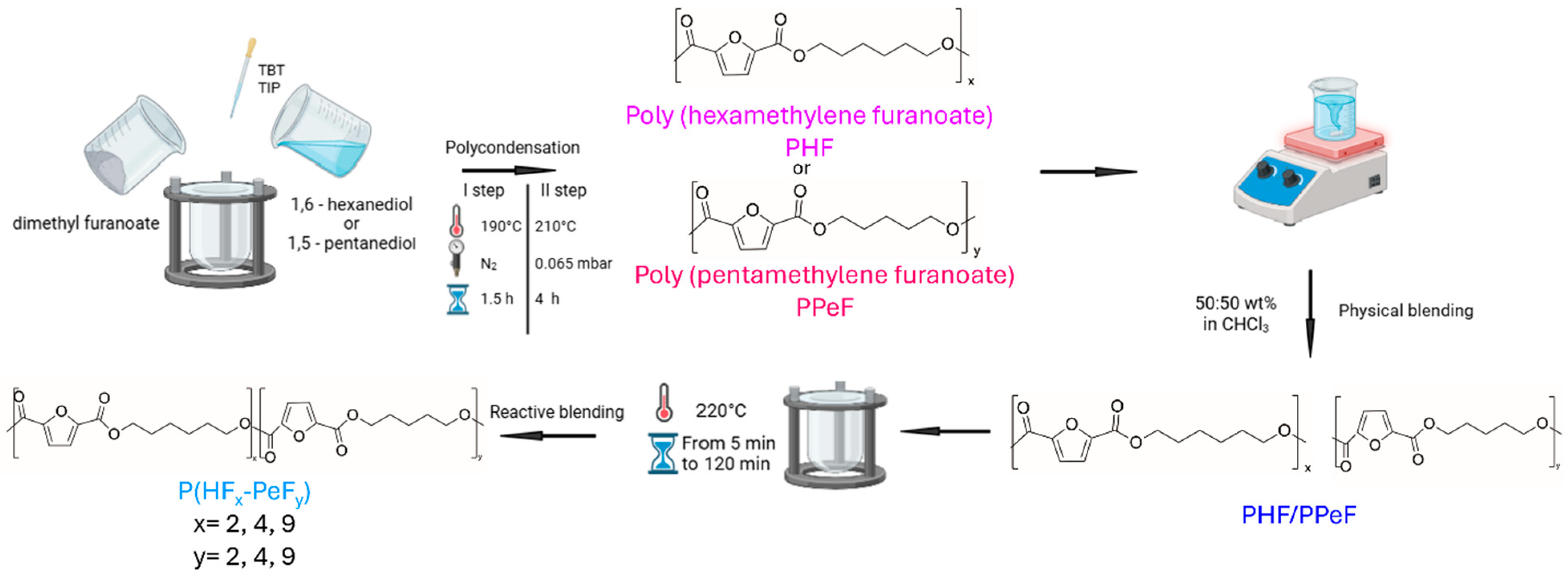 Polymers 17 03220 sch001 Polymers 17 03220 sch001