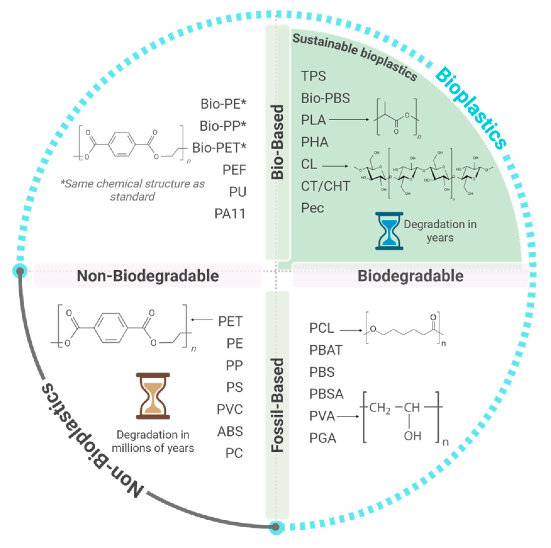 Polymers 17 03222 g001 Polymers 17 03222 g001