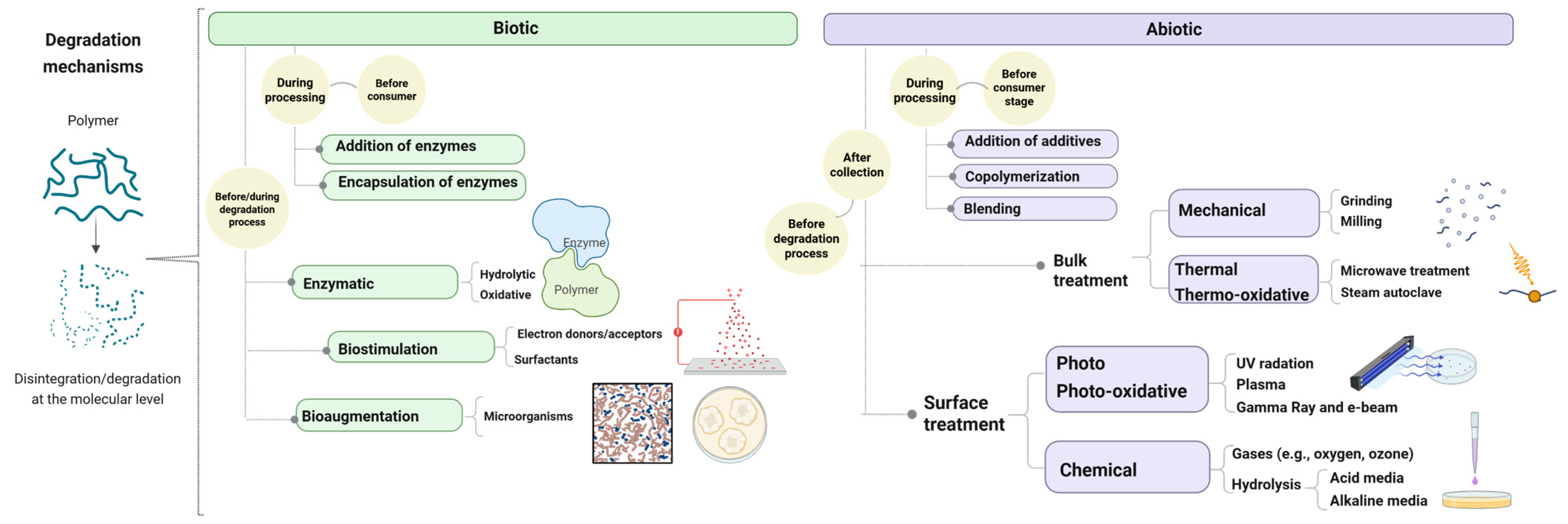 Polymers 17 03222 g002 Polymers 17 03222 g002