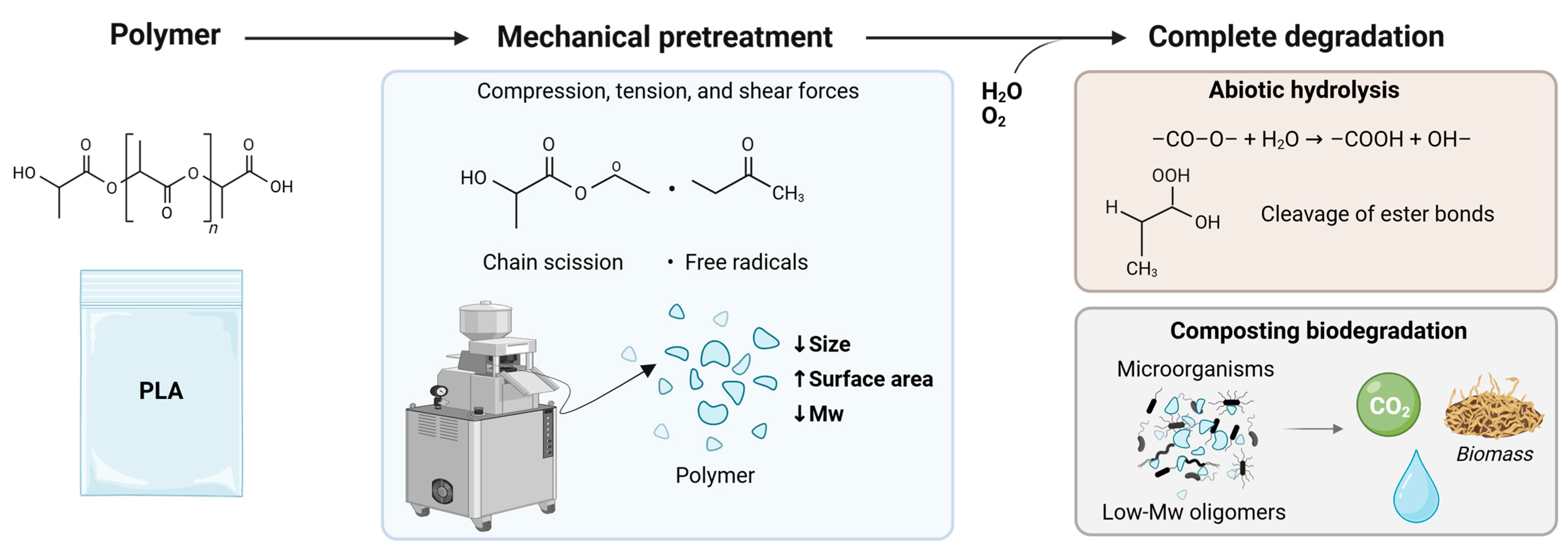 Polymers 17 03222 g004 Polymers 17 03222 g004