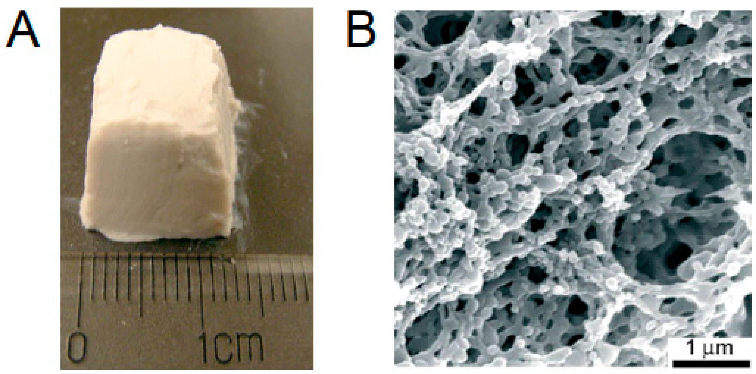 Polymers 17 03227 g006 Polymers 17 03227 g006