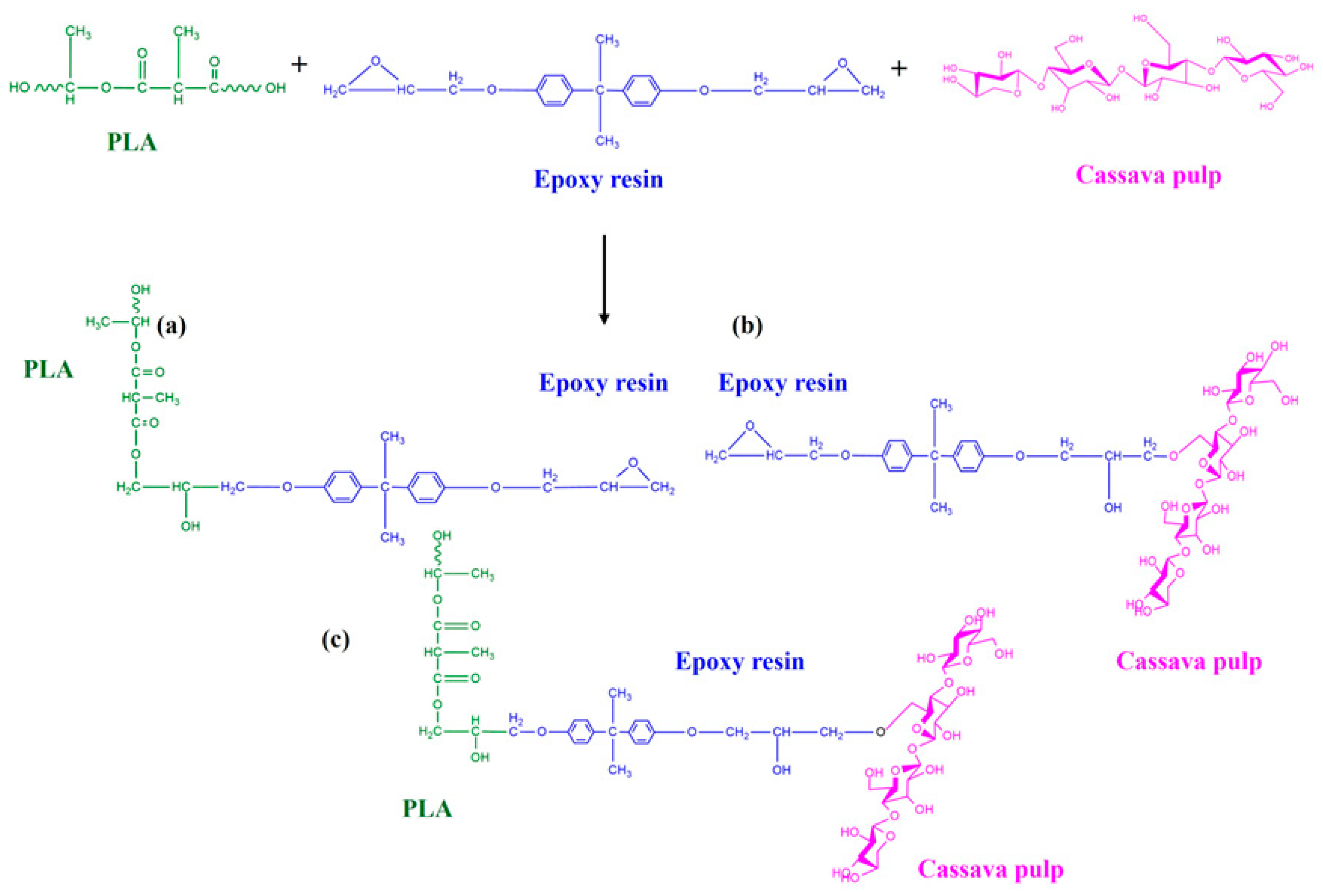 Polymers 17 03228 g005 Polymers 17 03228 g005