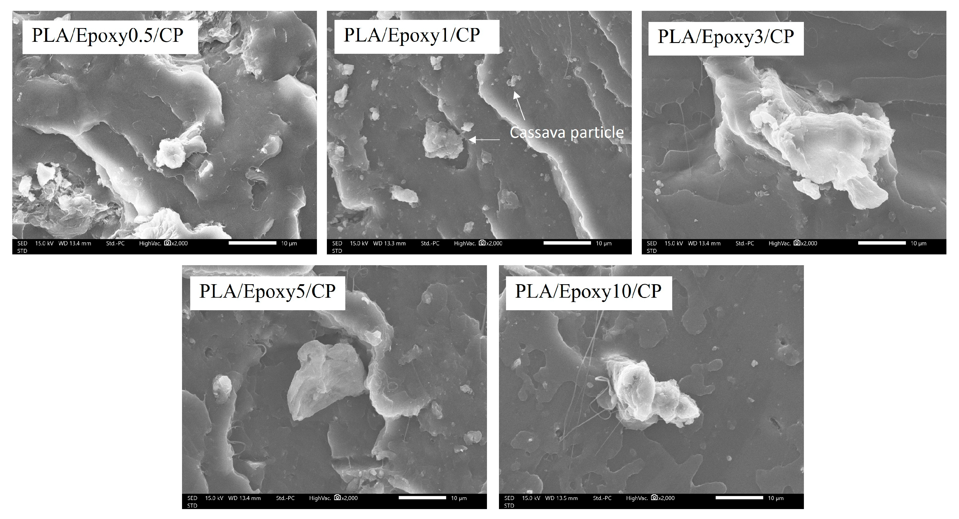 Polymers 17 03228 g008 Polymers 17 03228 g008