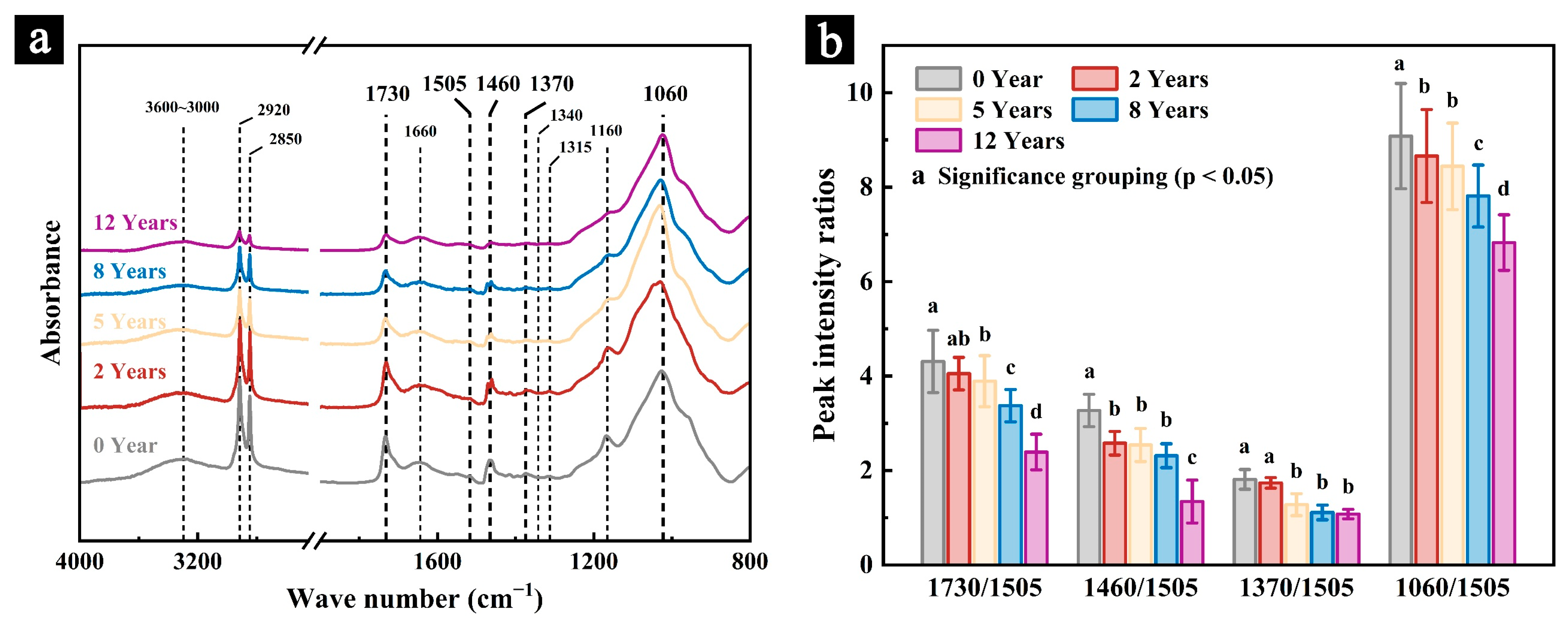 Polymers 17 03229 g004