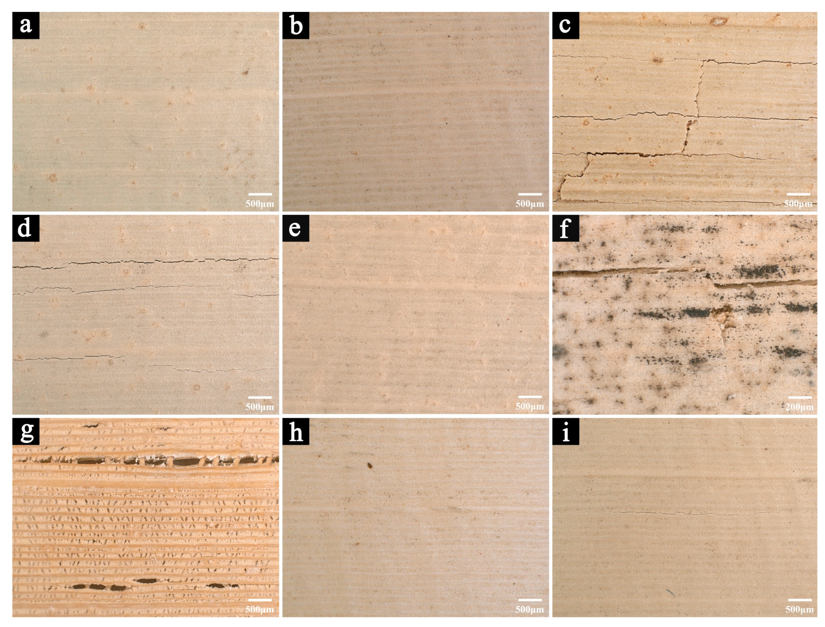Polymers 17 03229 g005